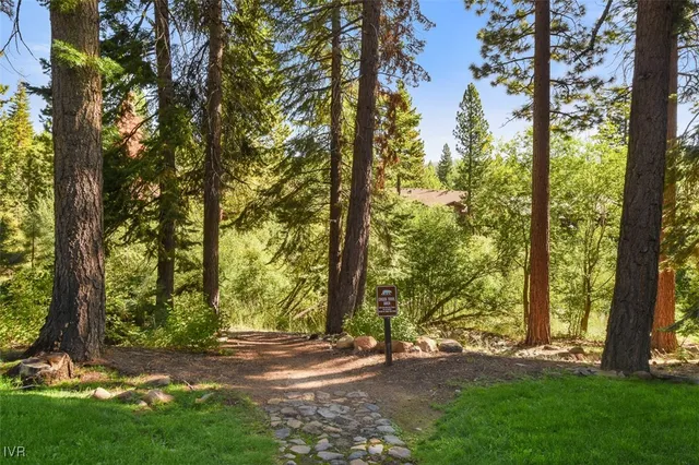 a view of outdoor space with deck and tree
