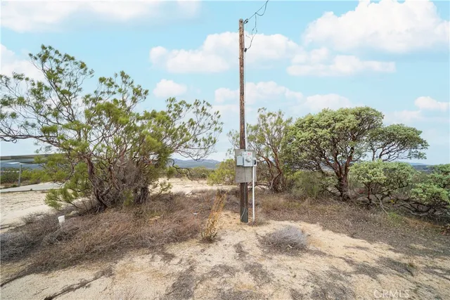 a view of a city with lots of trees