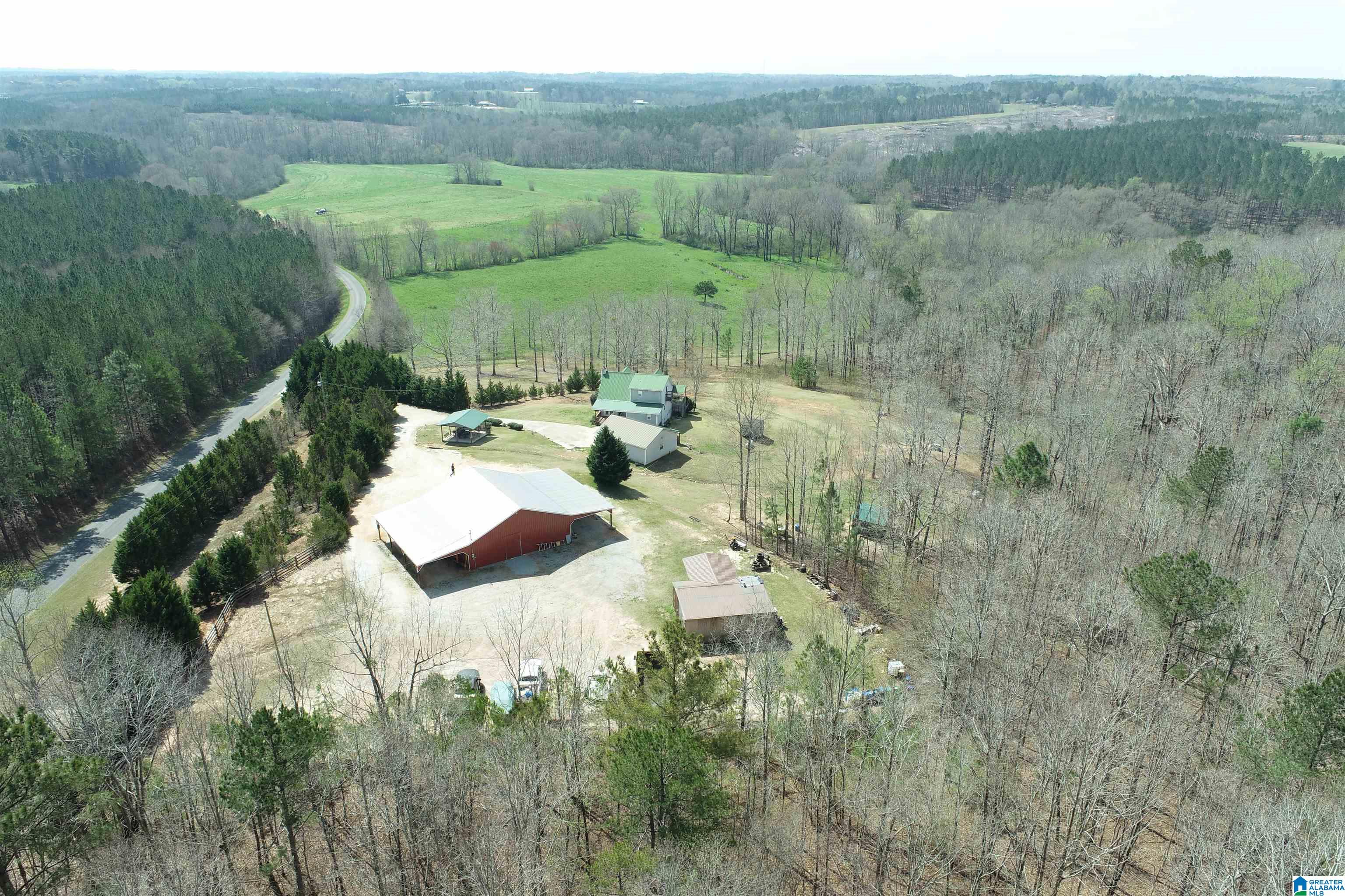 2495 County Road 46 Wedowee, AL 36278 - Photo 4 of 50