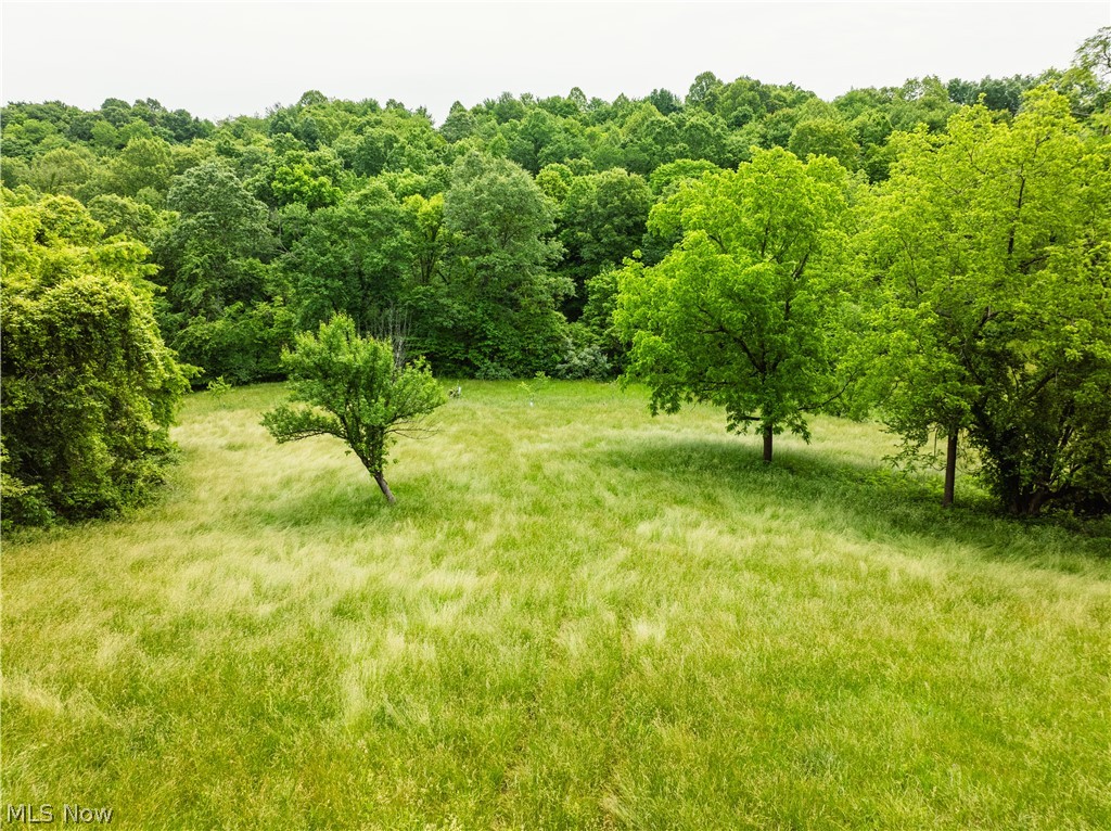 5674 Pleasant Valley Road Nashport, OH 43830 - Photo 49 of 50