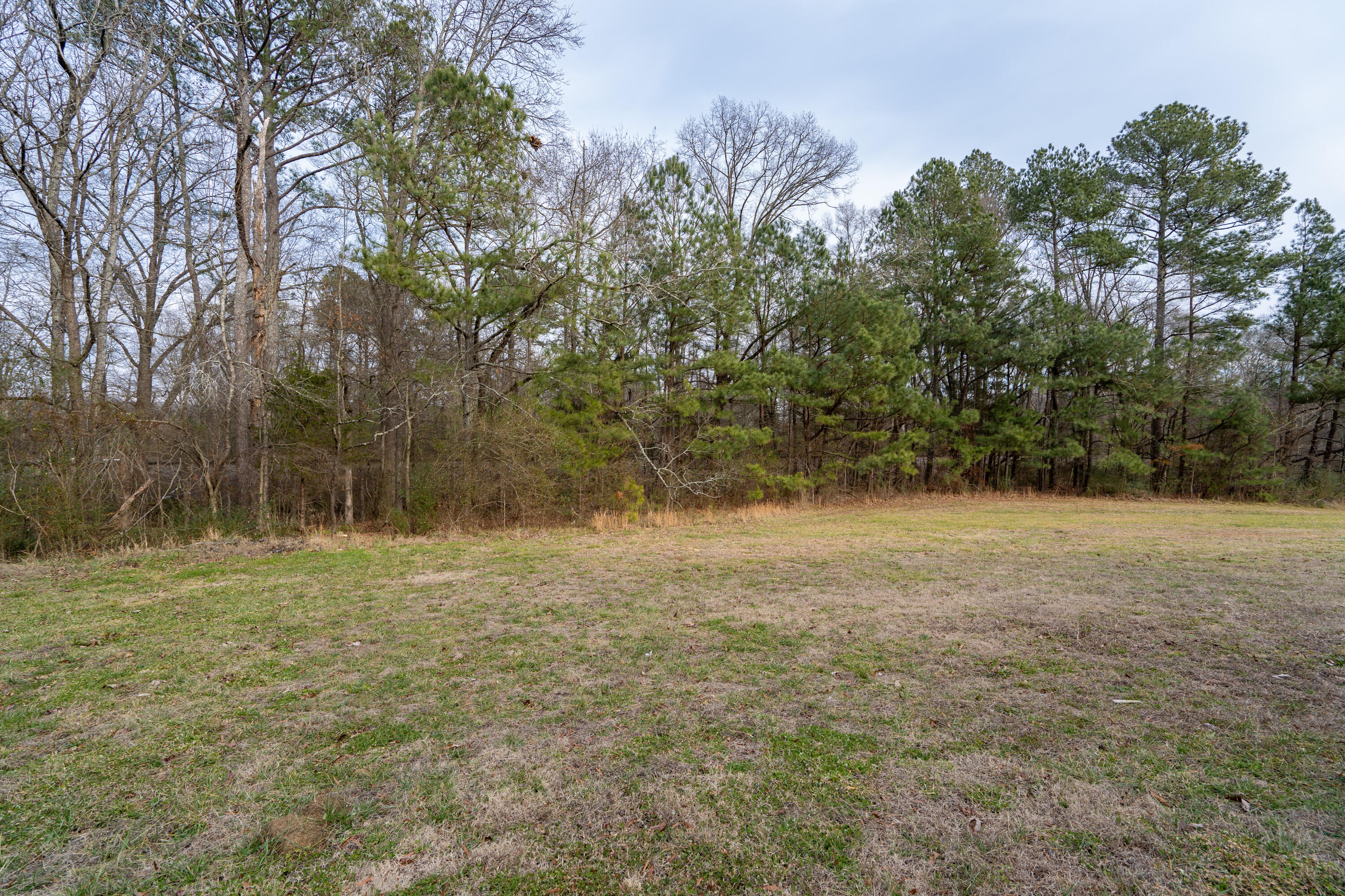5232 Apison Road Cohutta, GA 30710 - Photo 31 of 33 DSC00236