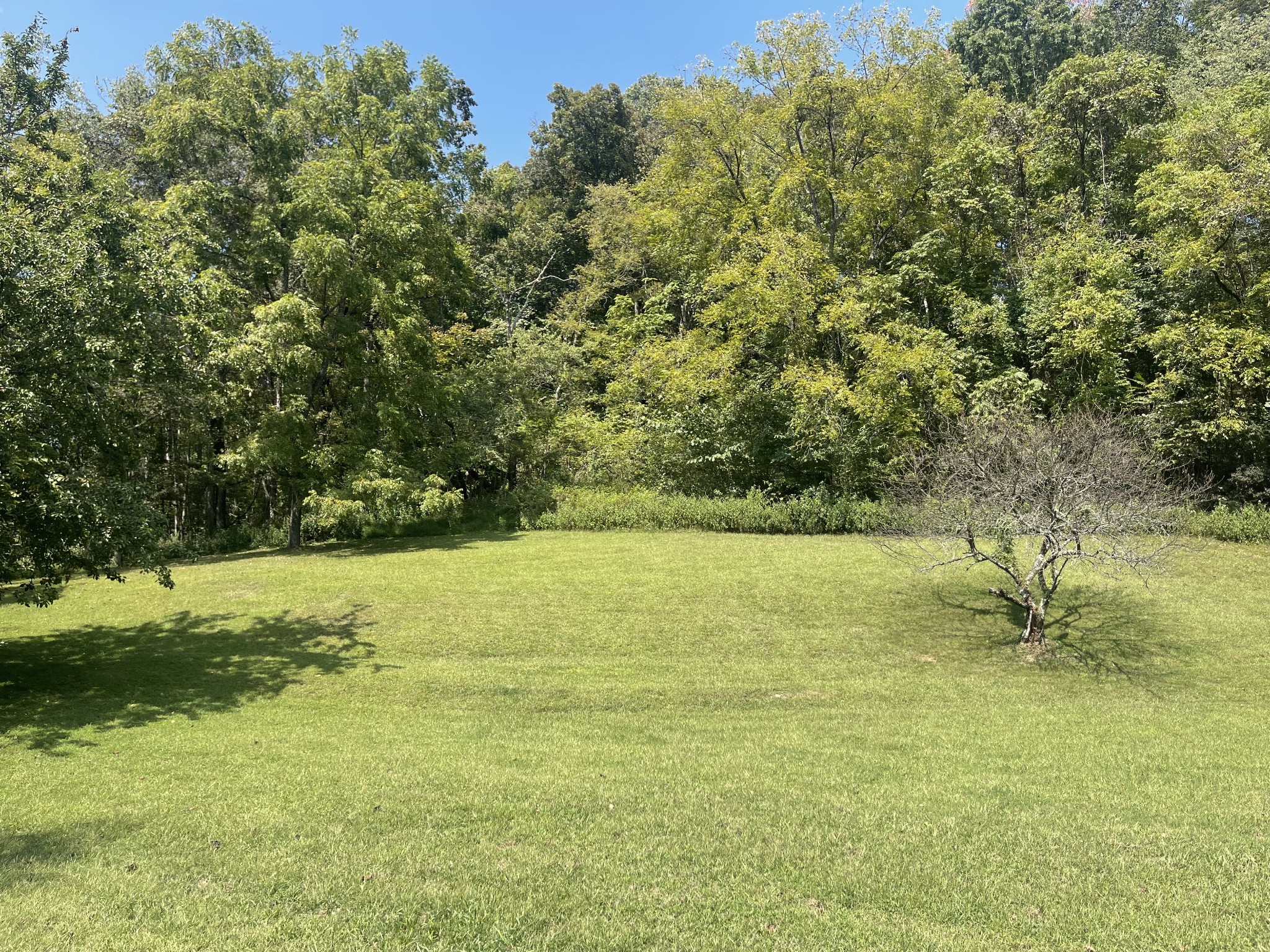 2184 Apple Hill Road Lynnville, TN 38472 - Photo 30 of 30