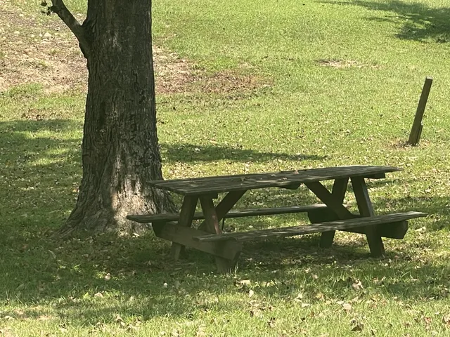 $210,000 | 2184 Apple Hill Road, Lynnville, TN 38472