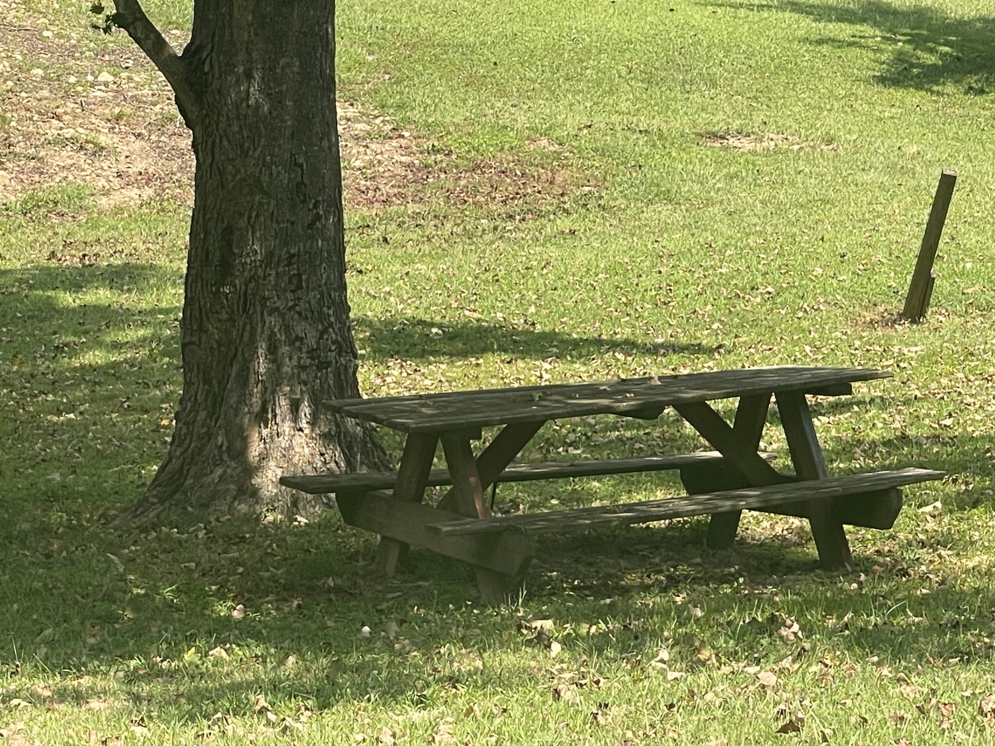 2184 Apple Hill Road Lynnville, TN 38472 - Photo 10 of 30