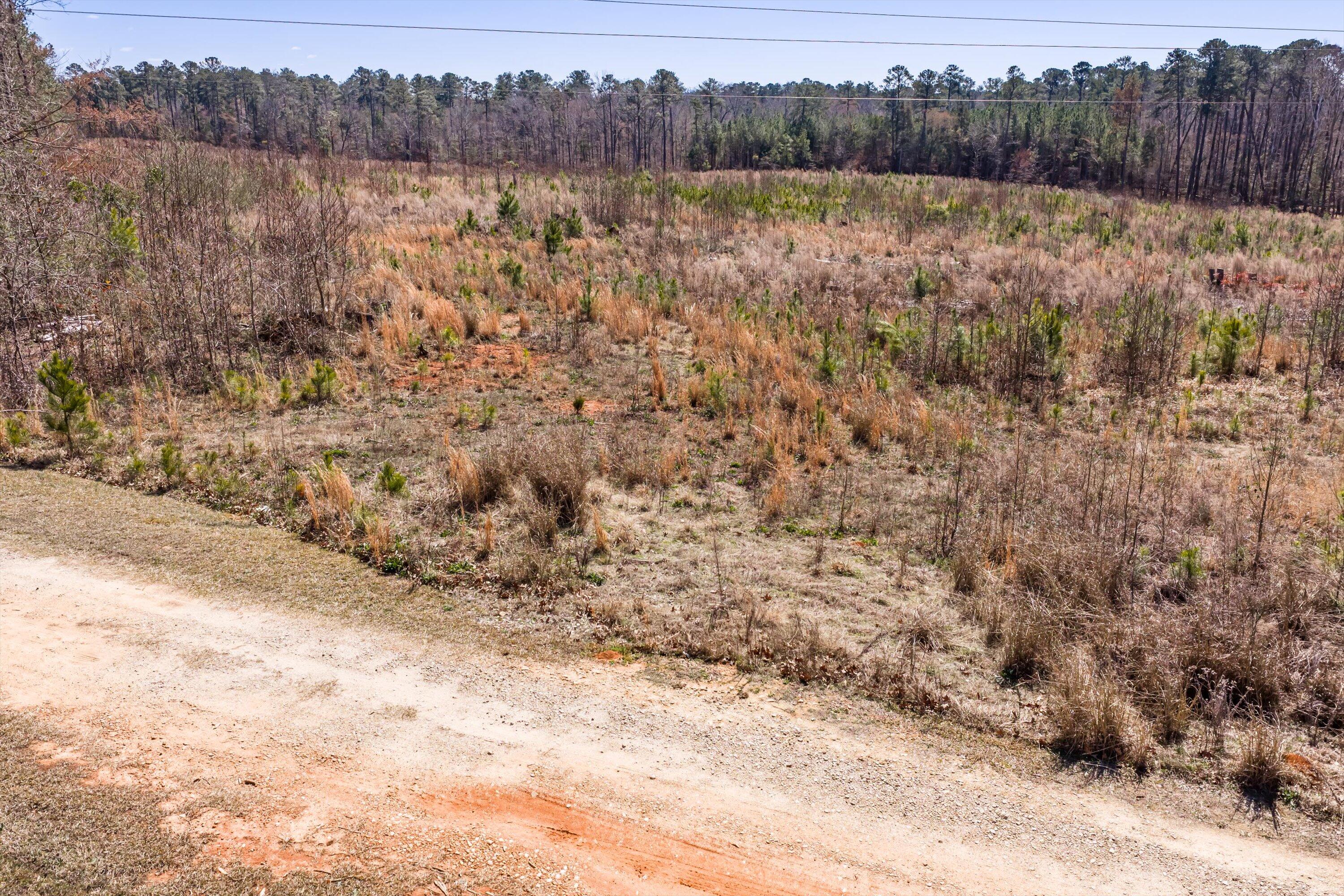 0 Chamberlain S Ferry Road Lincolnton, GA 30817 - Photo 15 of 26 28-DJI_20260223121542_0188_D-HDR