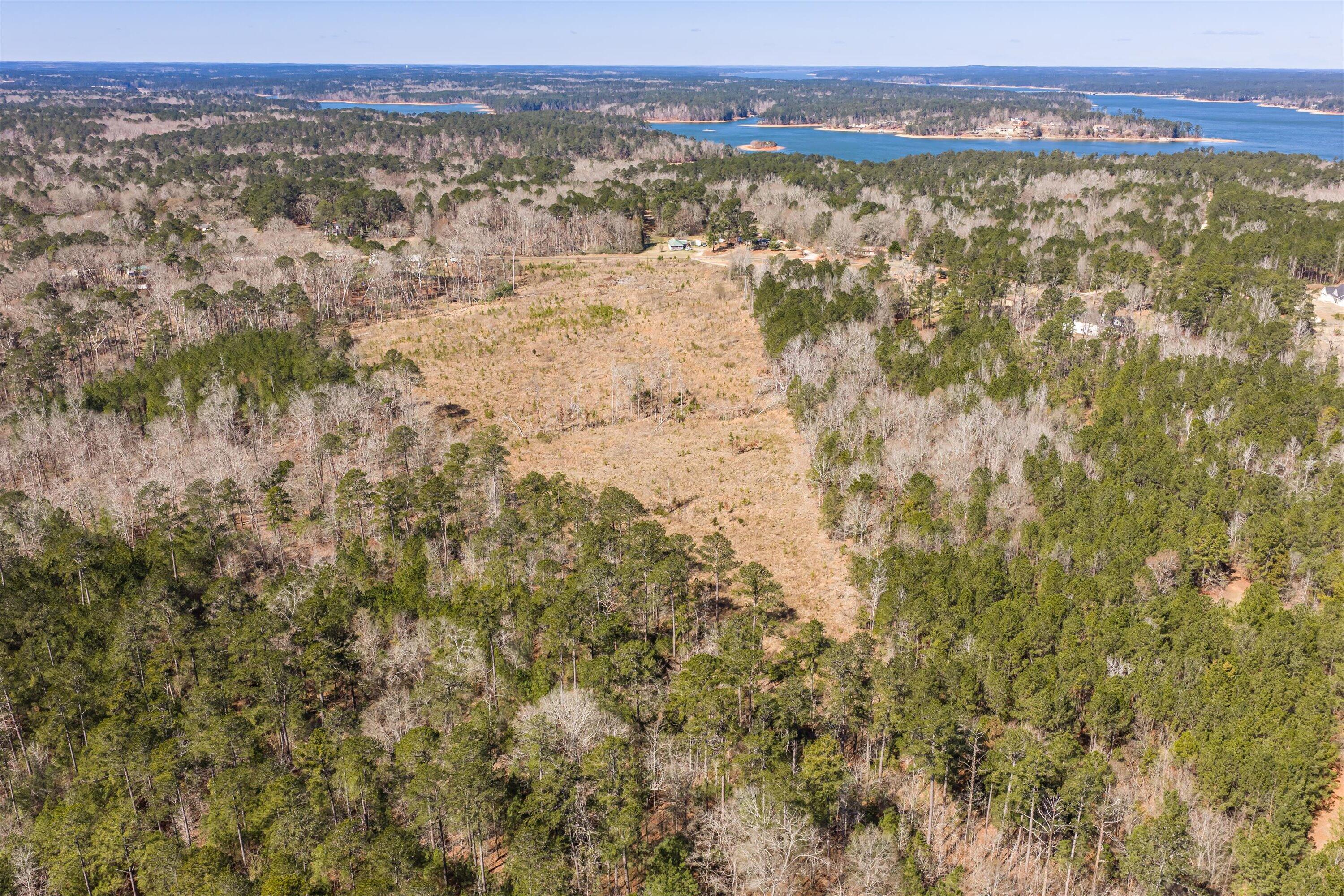 0 Chamberlain S Ferry Road Lincolnton, GA 30817 - Photo 16 of 26 06-DJI_20260223120516_0122_D-HDR