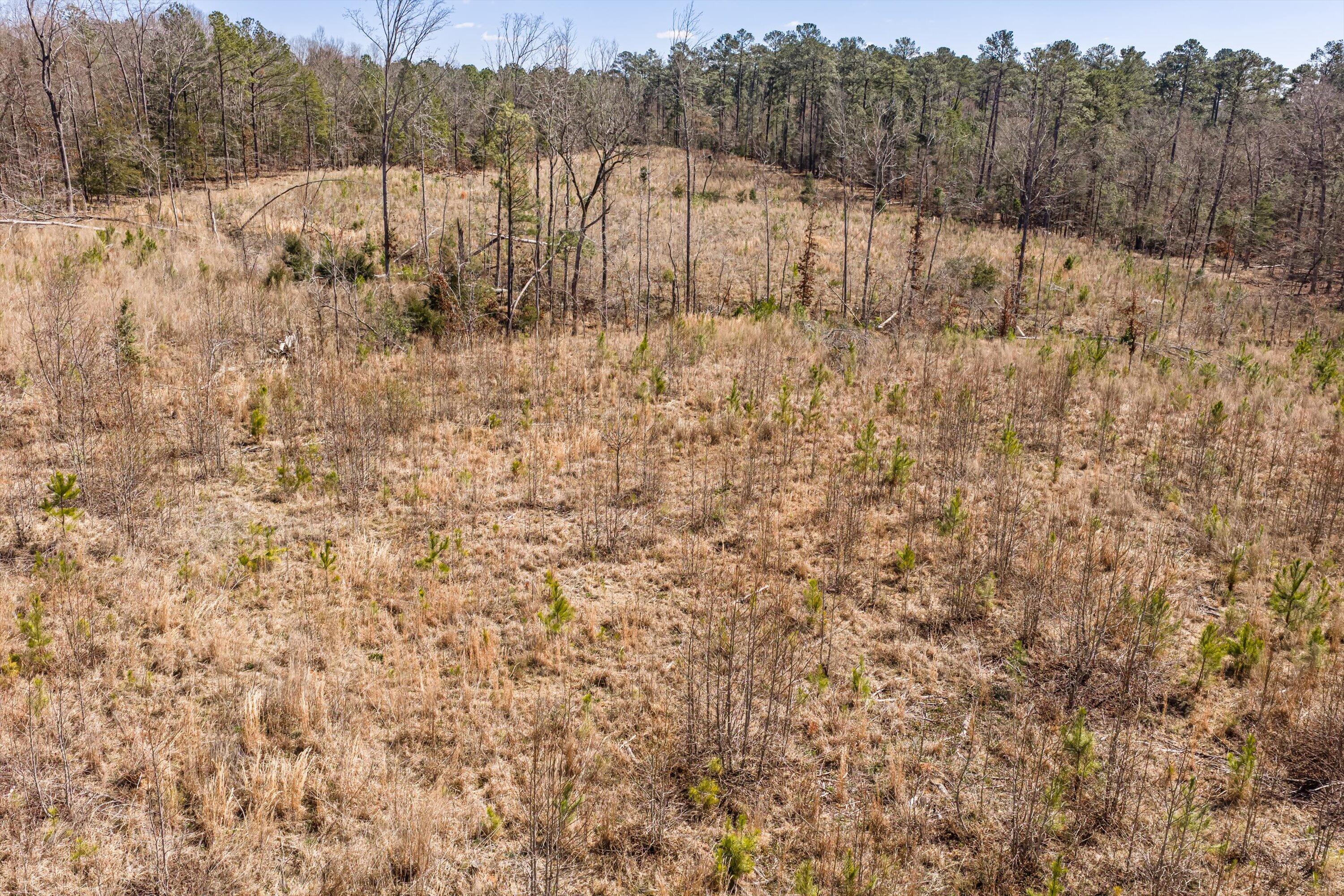 0 Chamberlain S Ferry Road Lincolnton, GA 30817 - Photo 21 of 26 16-DJI_20260223121020_0152_D-HDR