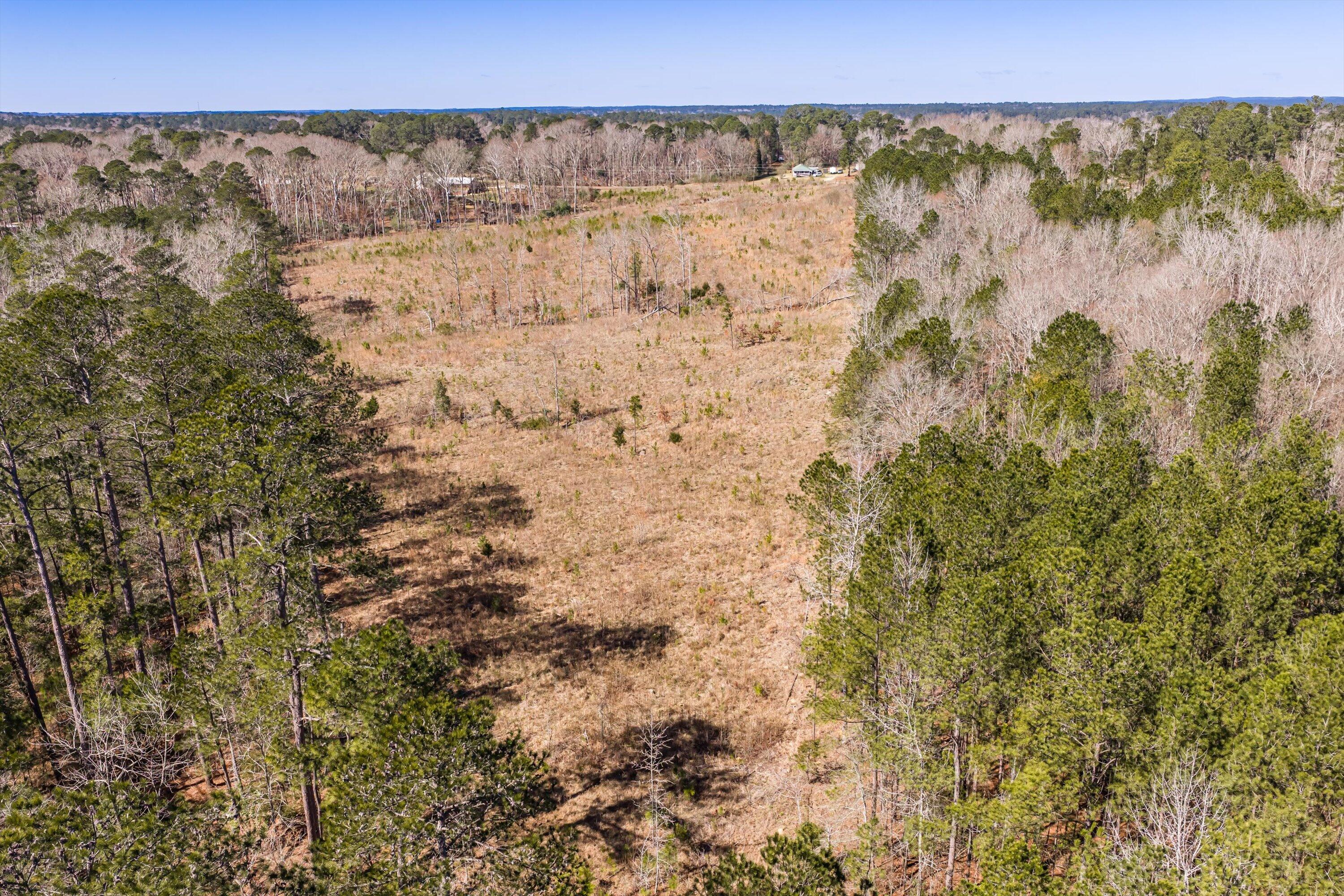 0 Chamberlain S Ferry Road Lincolnton, GA 30817 - Photo 22 of 26 17-DJI_20260223121051_0155_D-HDR