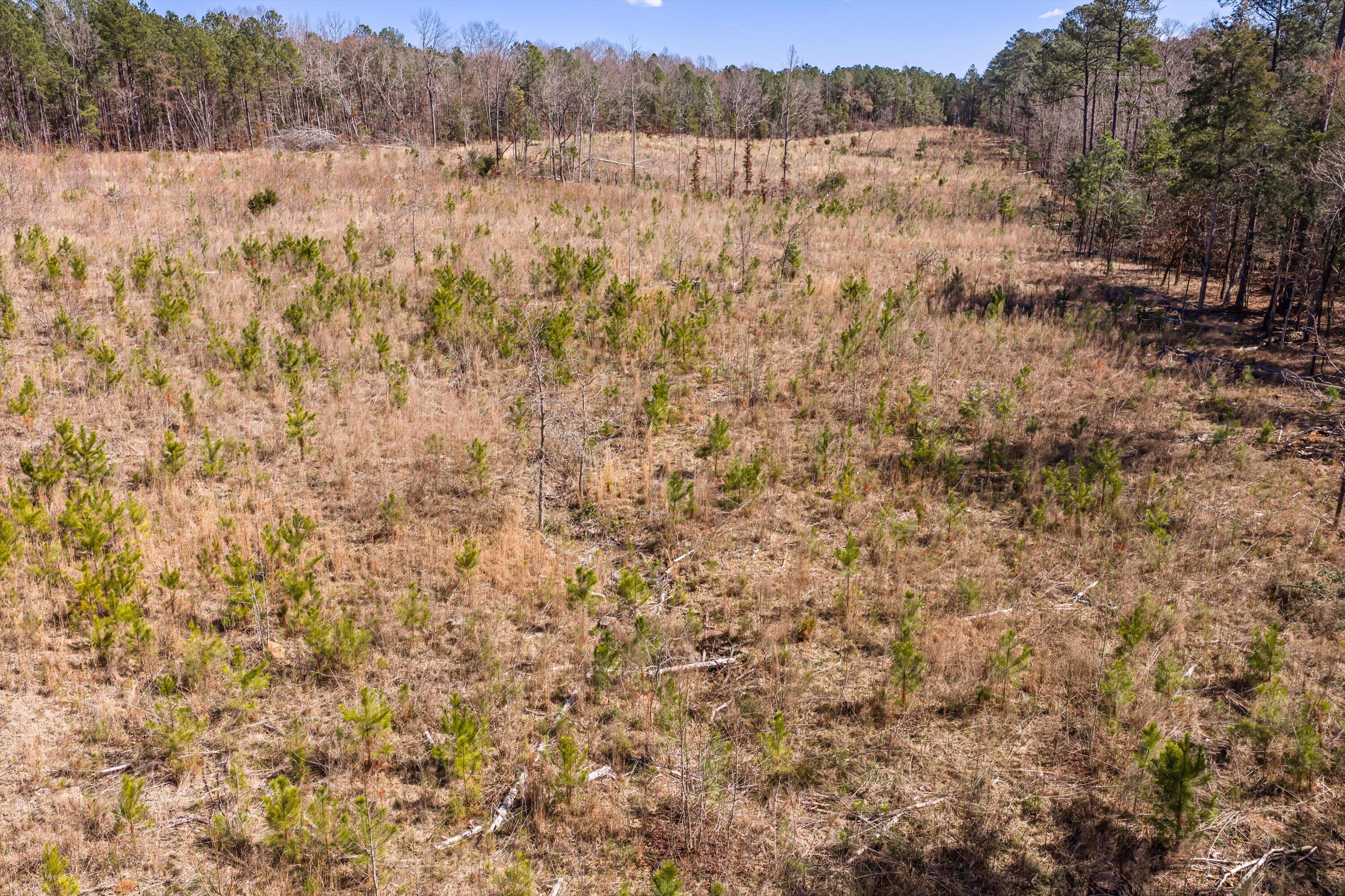 0 Chamberlain S Ferry Road Lincolnton, GA 30817 - Photo 24 of 26 20-DJI_20260223121213_0164_D-HDR