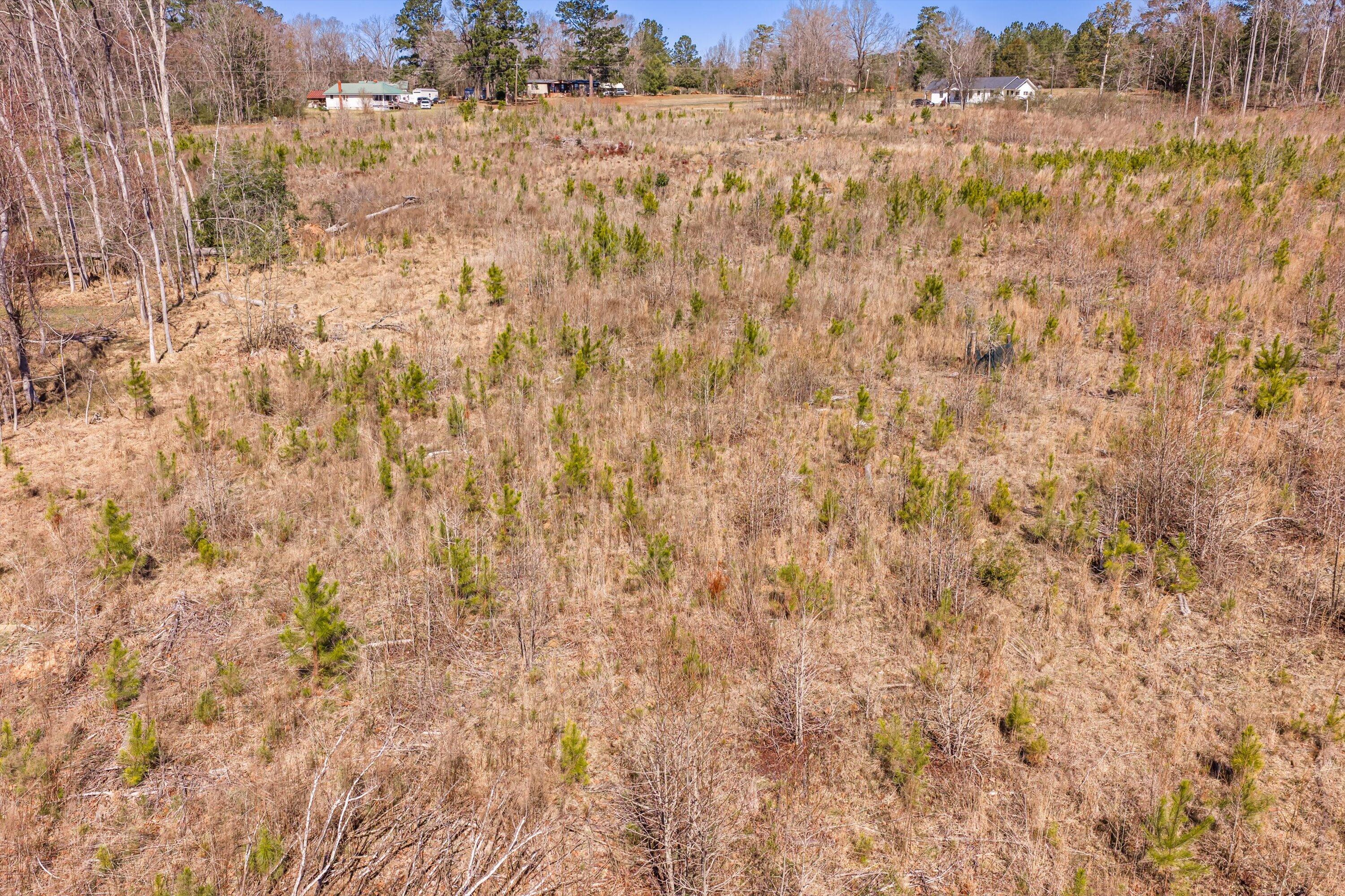 0 Chamberlain S Ferry Road Lincolnton, GA 30817 - Photo 25 of 26 21-DJI_20260223121223_0167_D-HDR