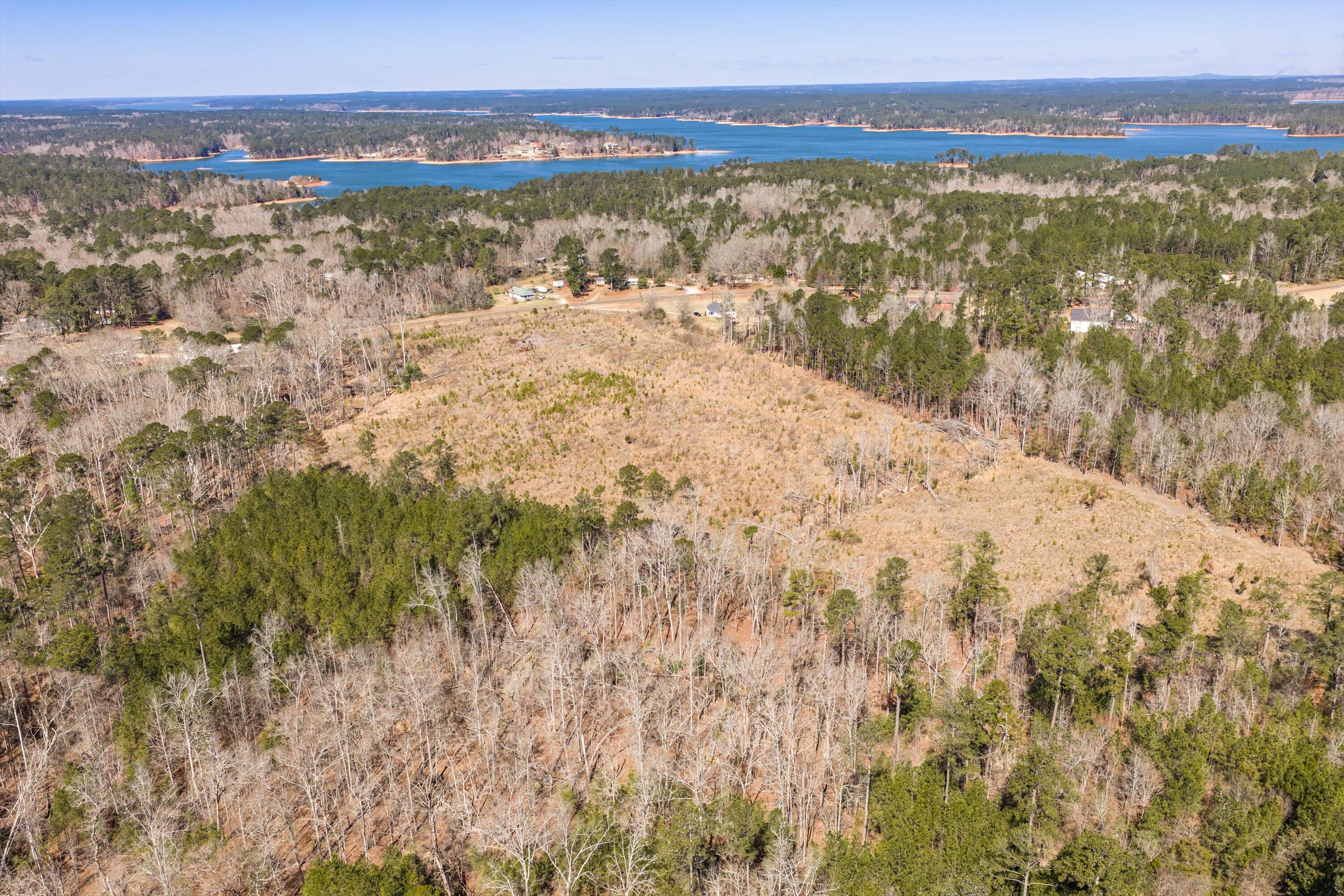 0 Chamberlain S Ferry Road Lincolnton, GA 30817 - Photo 3 of 26 Open Buildable Area