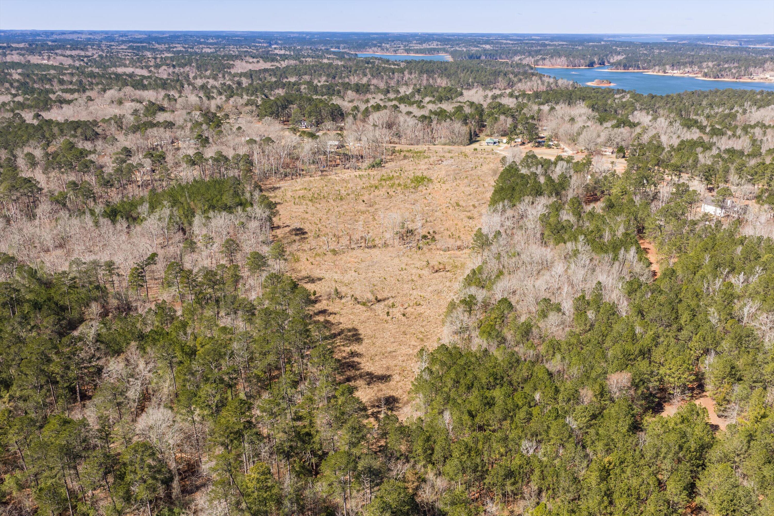 0 Chamberlain S Ferry Road Lincolnton, GA 30817 - Photo 4 of 26 600 Feet of Paved Road Frontage