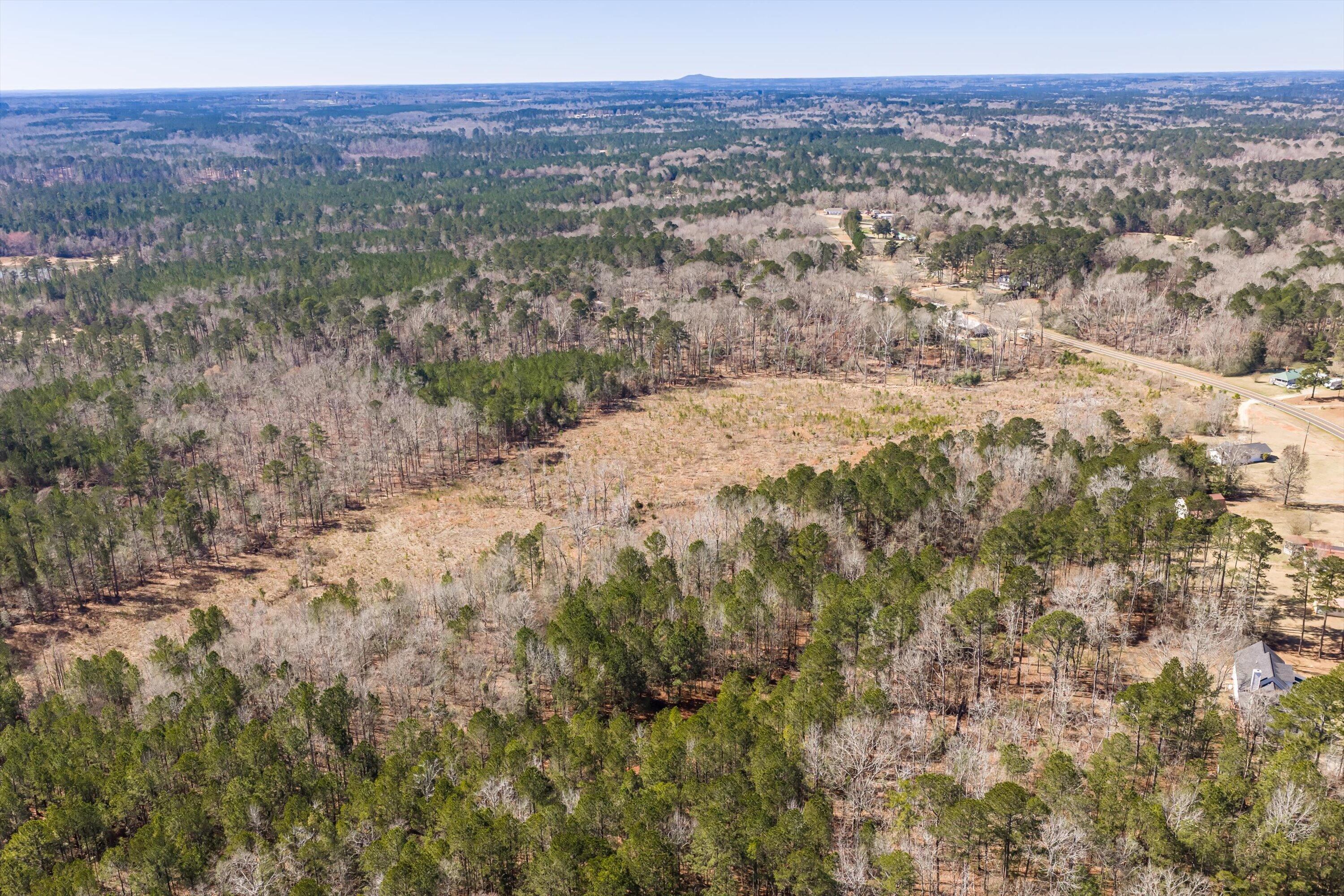 0 Chamberlain S Ferry Road Lincolnton, GA 30817 - Photo 6 of 26 Interior View
