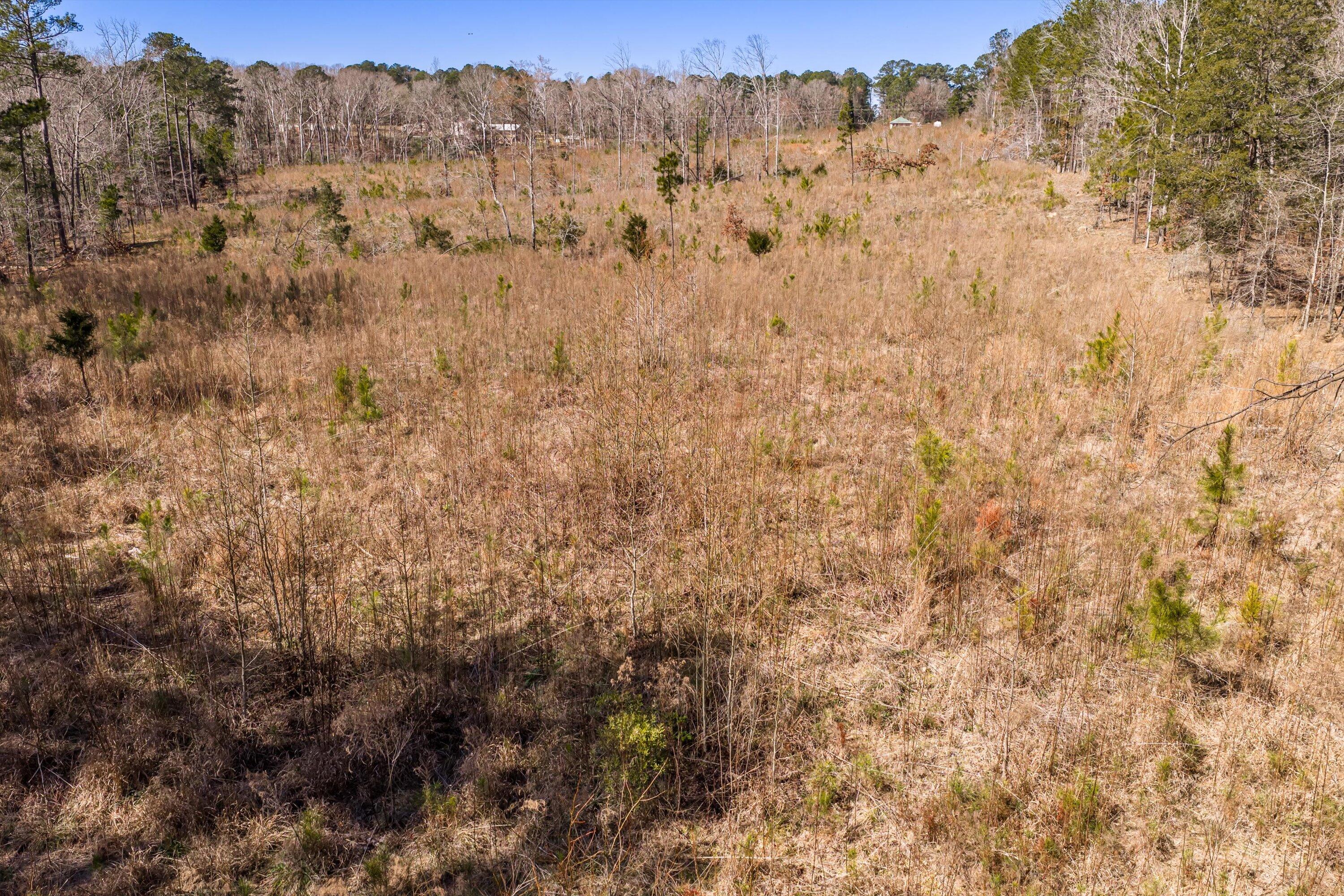 0 Chamberlain S Ferry Road Lincolnton, GA 30817 - Photo 9 of 26 18-DJI_20260223121110_0158_D-HDR