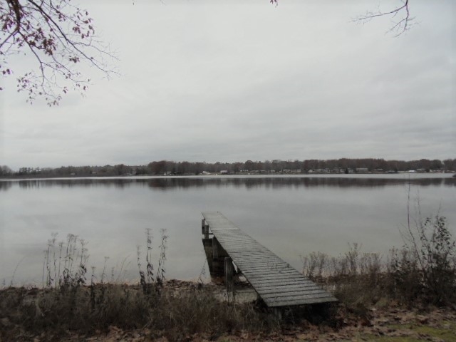 3781 Chrivia Road Lupton, MI 48635 - Photo 36 of 38 1840989-35.JPG