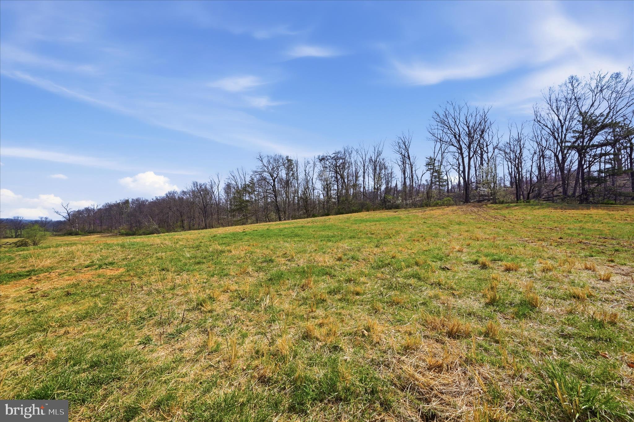 1112 Stony Hill Road Winchester, VA 22603 - Photo 15 of 31 a view of a field with trees in the background