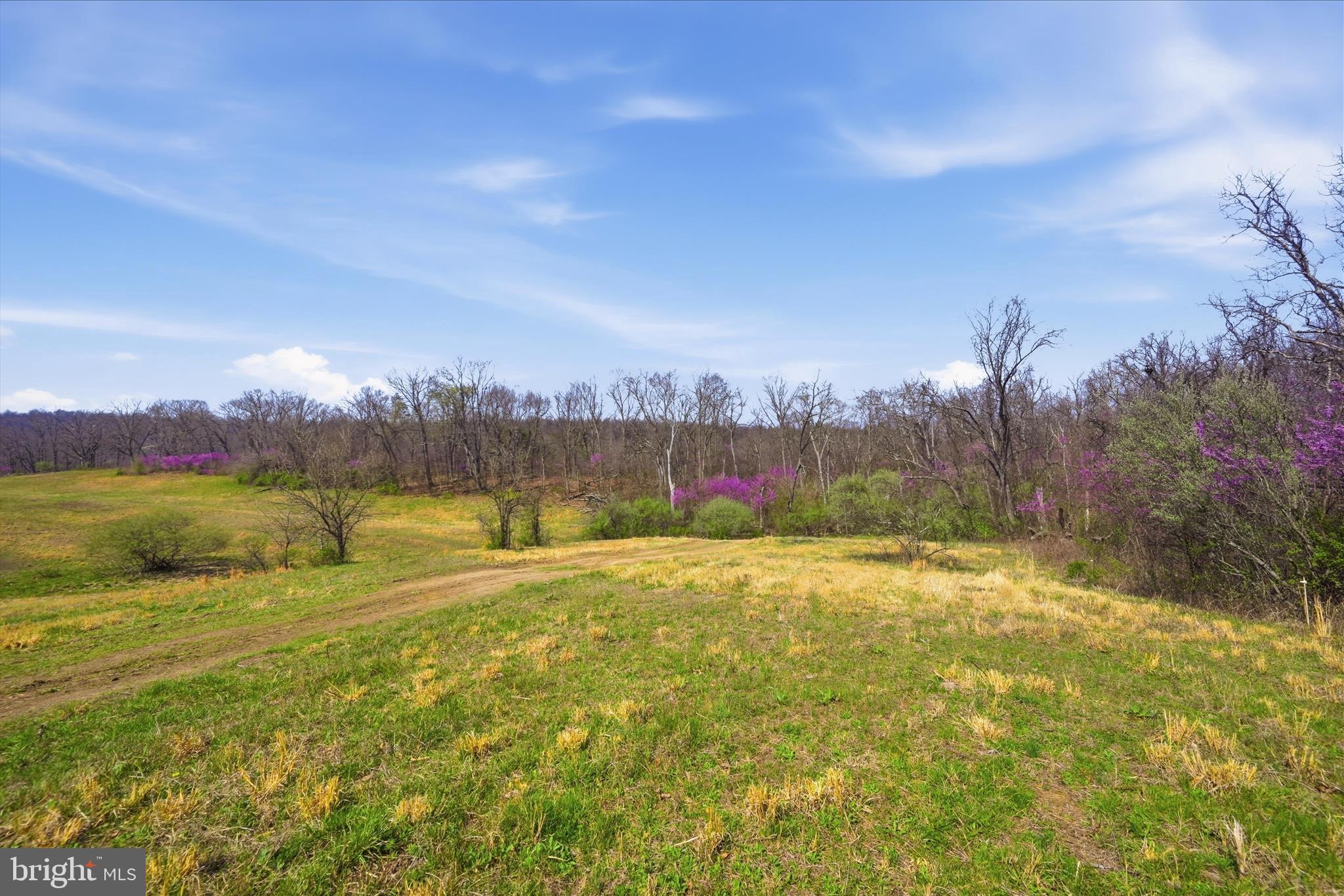1112 Stony Hill Road Winchester, VA 22603 - Photo 18 of 31 a view of an ocean view