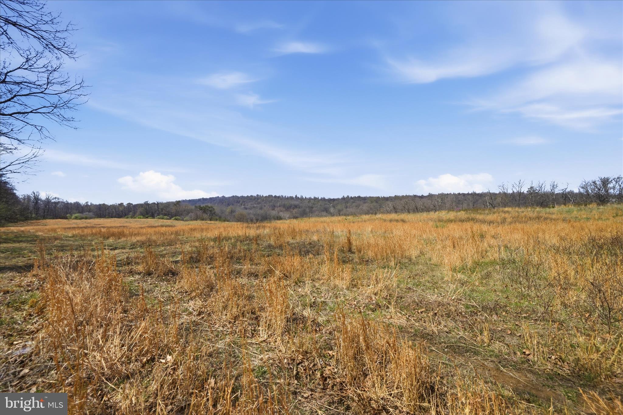 1112 Stony Hill Road Winchester, VA 22603 - Photo 19 of 31 a view of an ocean
