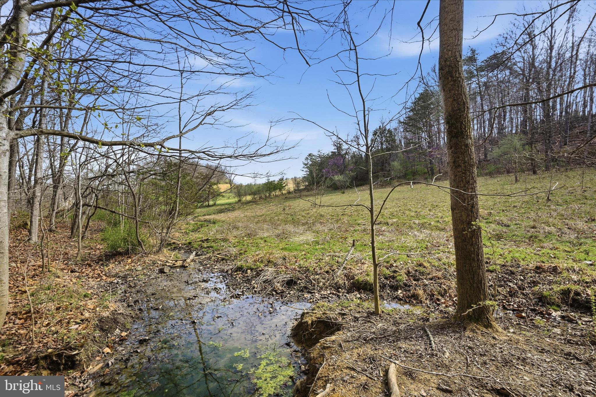 1112 Stony Hill Road Winchester, VA 22603 - Photo 2 of 31 a view of a backyard