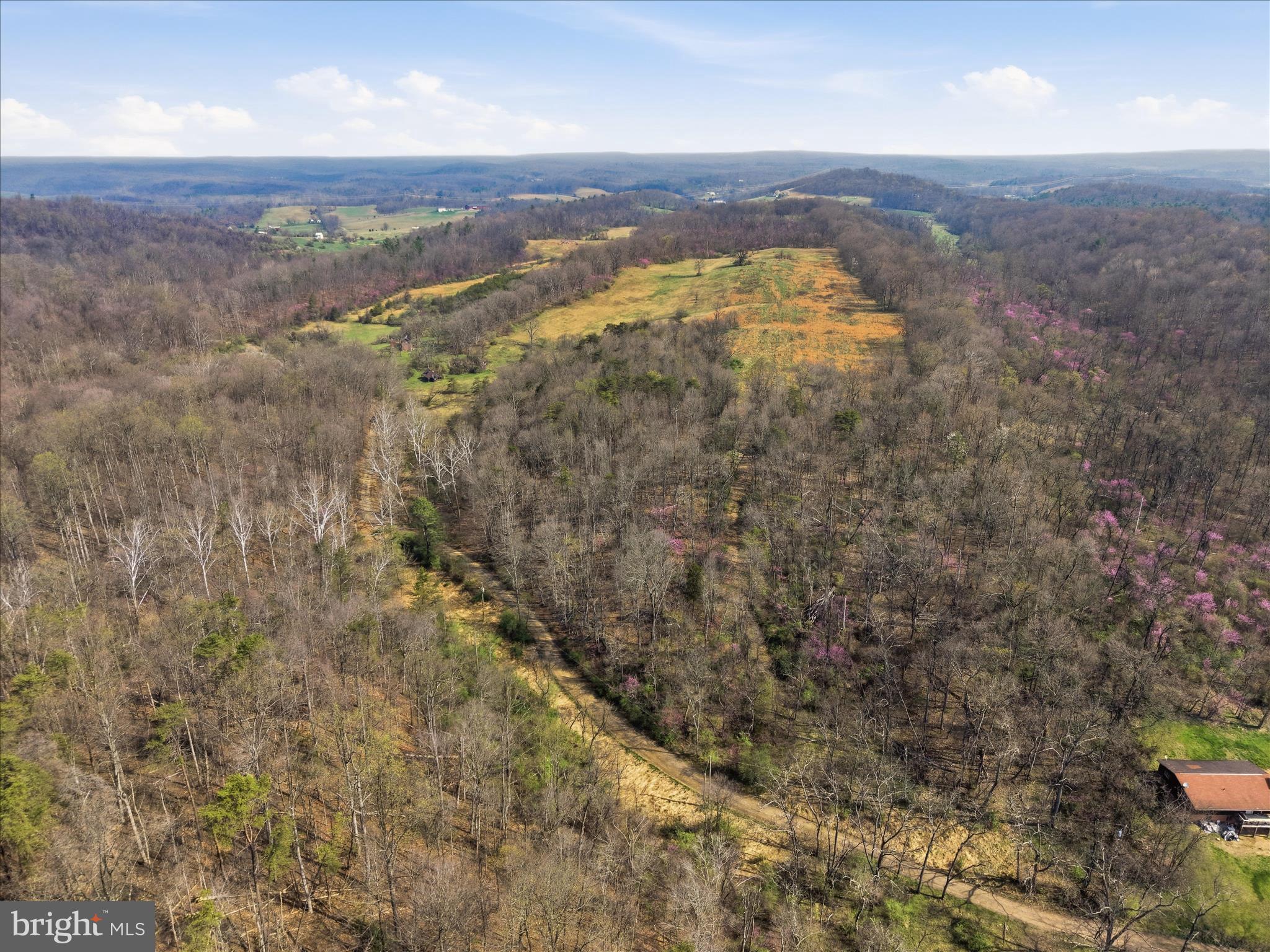 1112 Stony Hill Road Winchester, VA 22603 - Photo 28 of 31