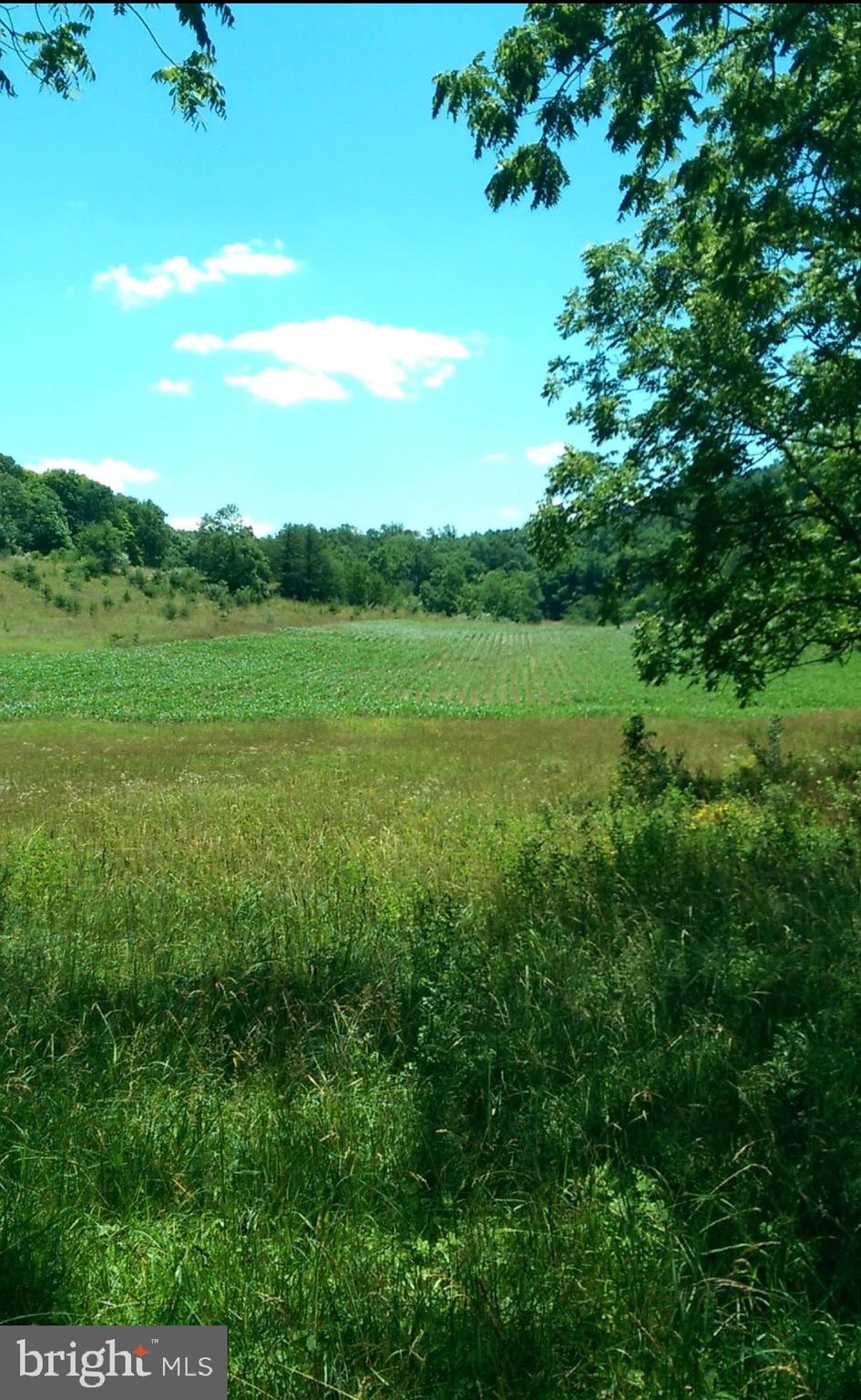 1112 Stony Hill Road Winchester, VA 22603 - Photo 31 of 31 a view of field with lush green space
