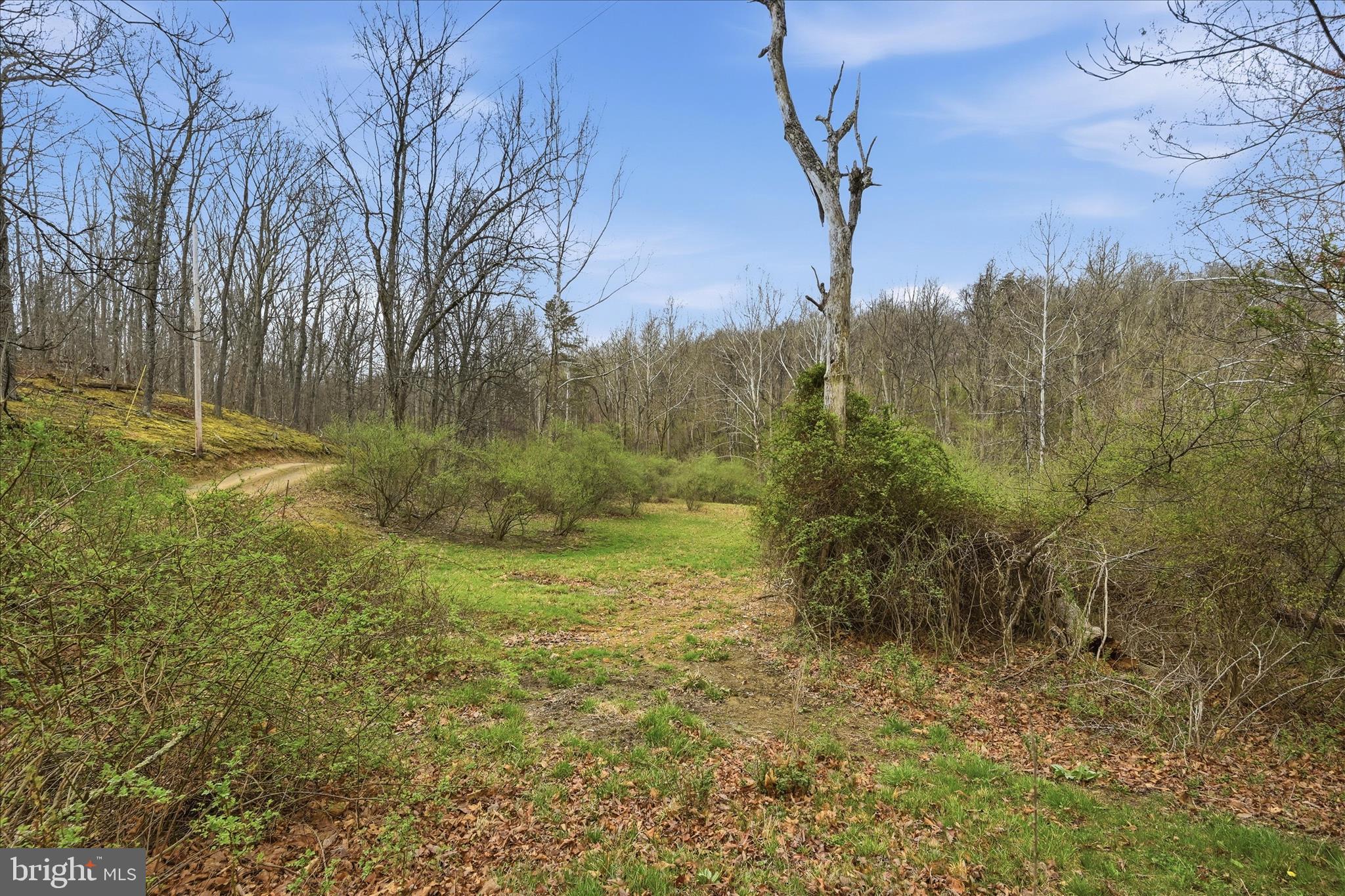 1112 Stony Hill Road Winchester, VA 22603 - Photo 4 of 31
