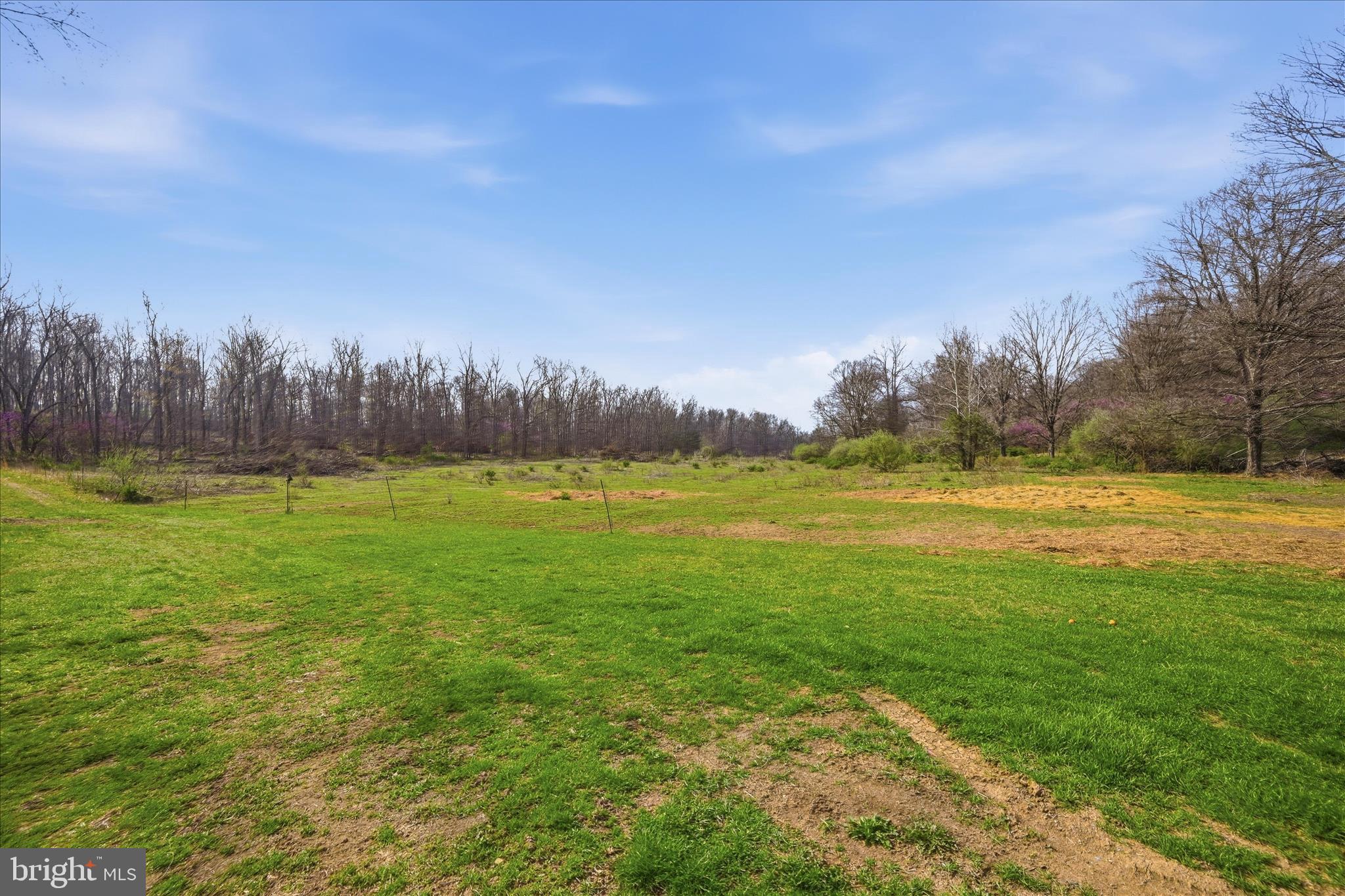 1112 Stony Hill Road Winchester, VA 22603 - Photo 5 of 31 a view of outdoor space with mountain view