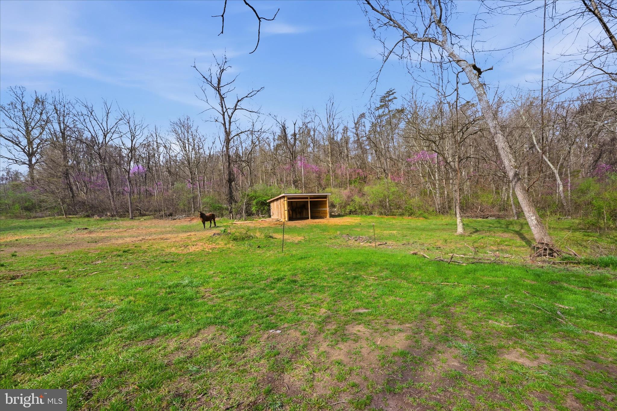1112 Stony Hill Road Winchester, VA 22603 - Photo 6 of 31 a backyard of a house with lots of green space