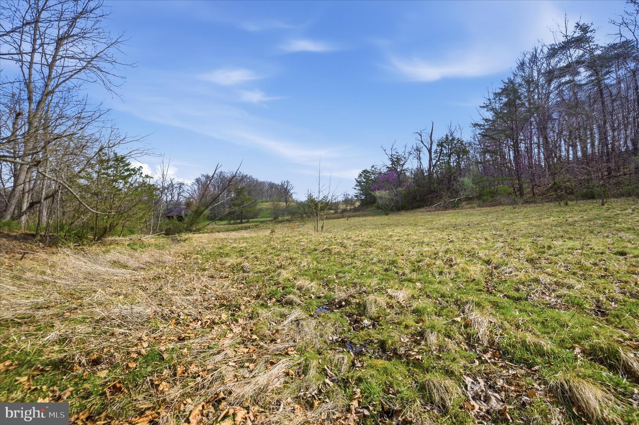 1112 Stony Hill Road Winchester, VA 22603 - Photo 10 of 31 a view of a yard with a house in the background