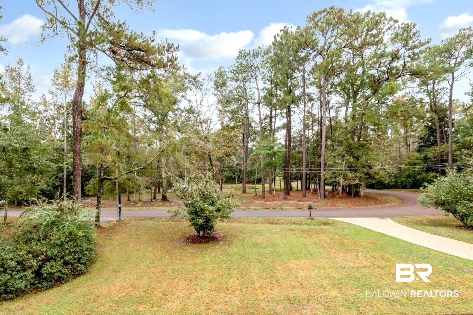 3500 North Riviere Du Chien Loop Mobile, AL 36693 - Photo 50 of 74 View of yard