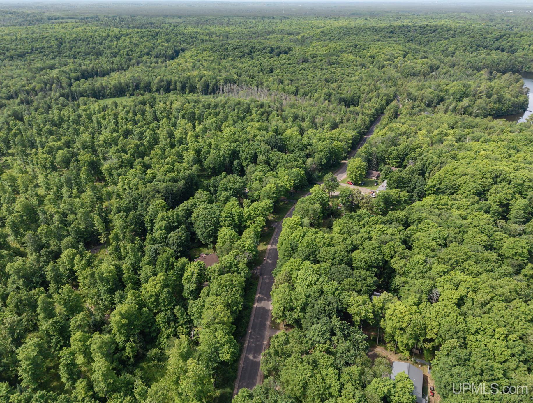 1658 Engman Lake Road Skandia, MI 49885 - Photo 33 of 50