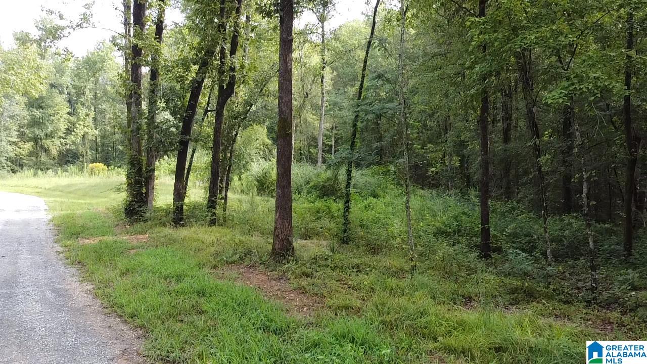 58 Rustic Oaks Drive Sterrett, AL 35147 - Photo 13 of 30