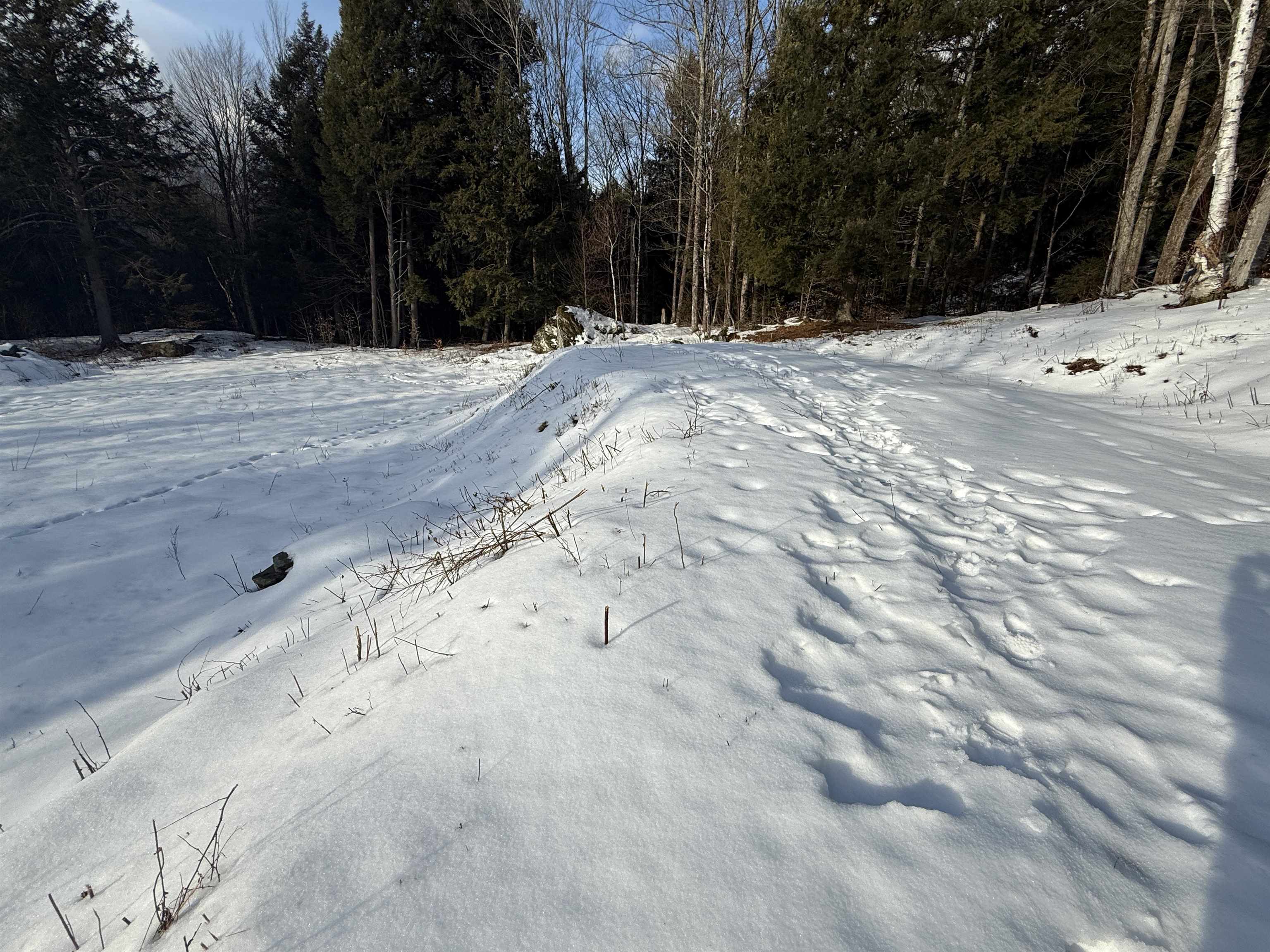 109 Highland Drive Warren, VT 05674 - Photo 12 of 24