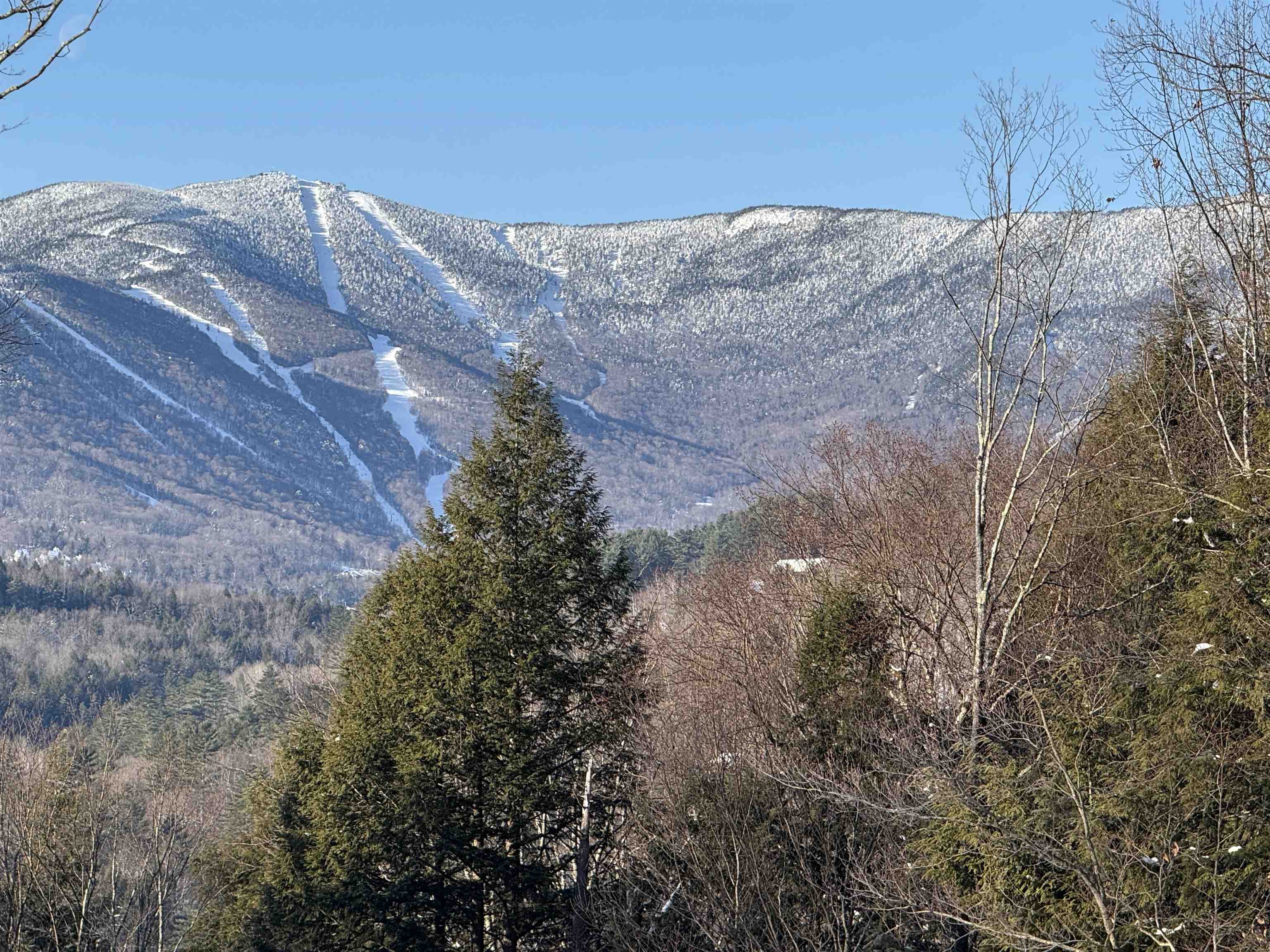 109 Highland Drive Warren, VT 05674 - Photo 2 of 24