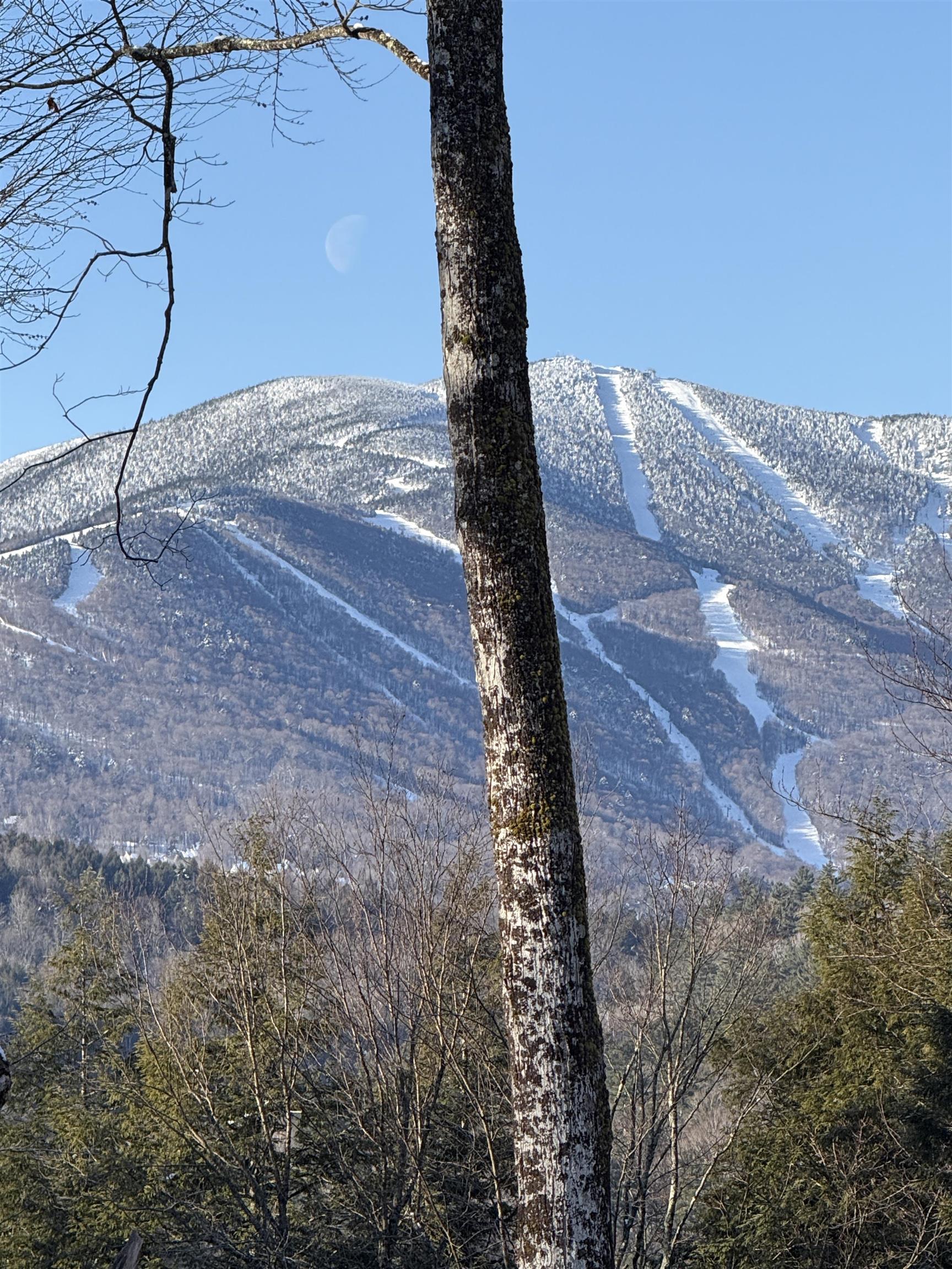 109 Highland Drive Warren, VT 05674 - Photo 4 of 24