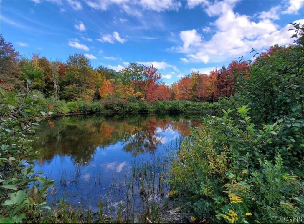 1 Neff Road Boonville, NY 13309 - Photo 1 of 1 Gallery Image 1