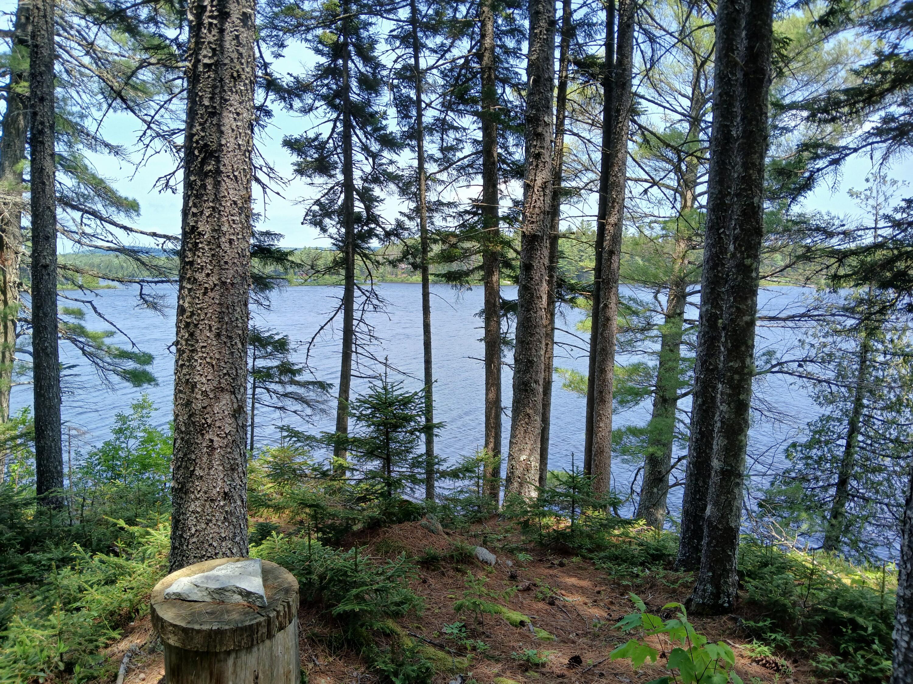 Lot # Lot#16.2 Lane Bingham, ME 04920 - Photo 2 of 36 View