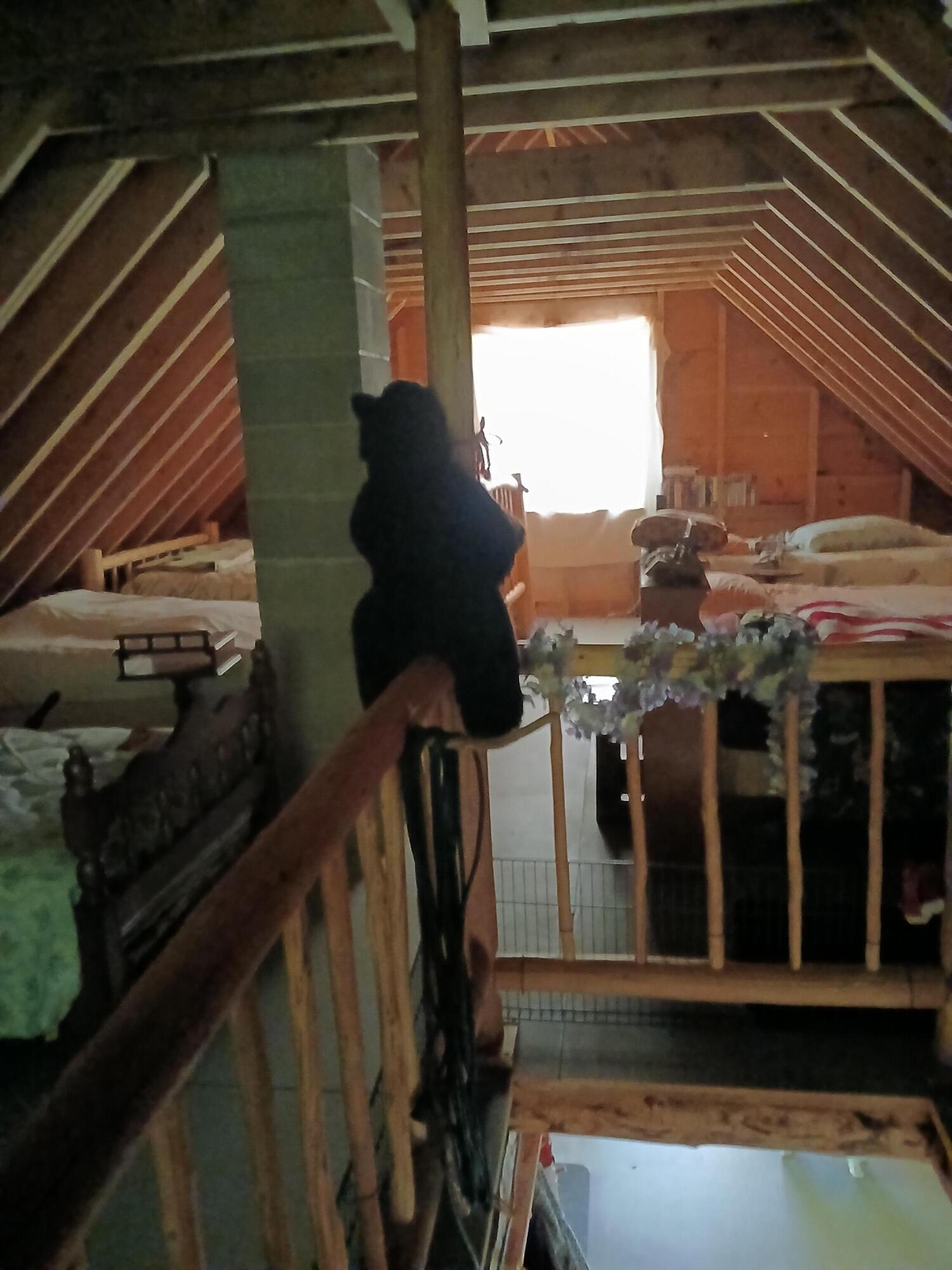 Lot # Lot#16.2 Lane Bingham, ME 04920 - Photo 29 of 36 Upstairs