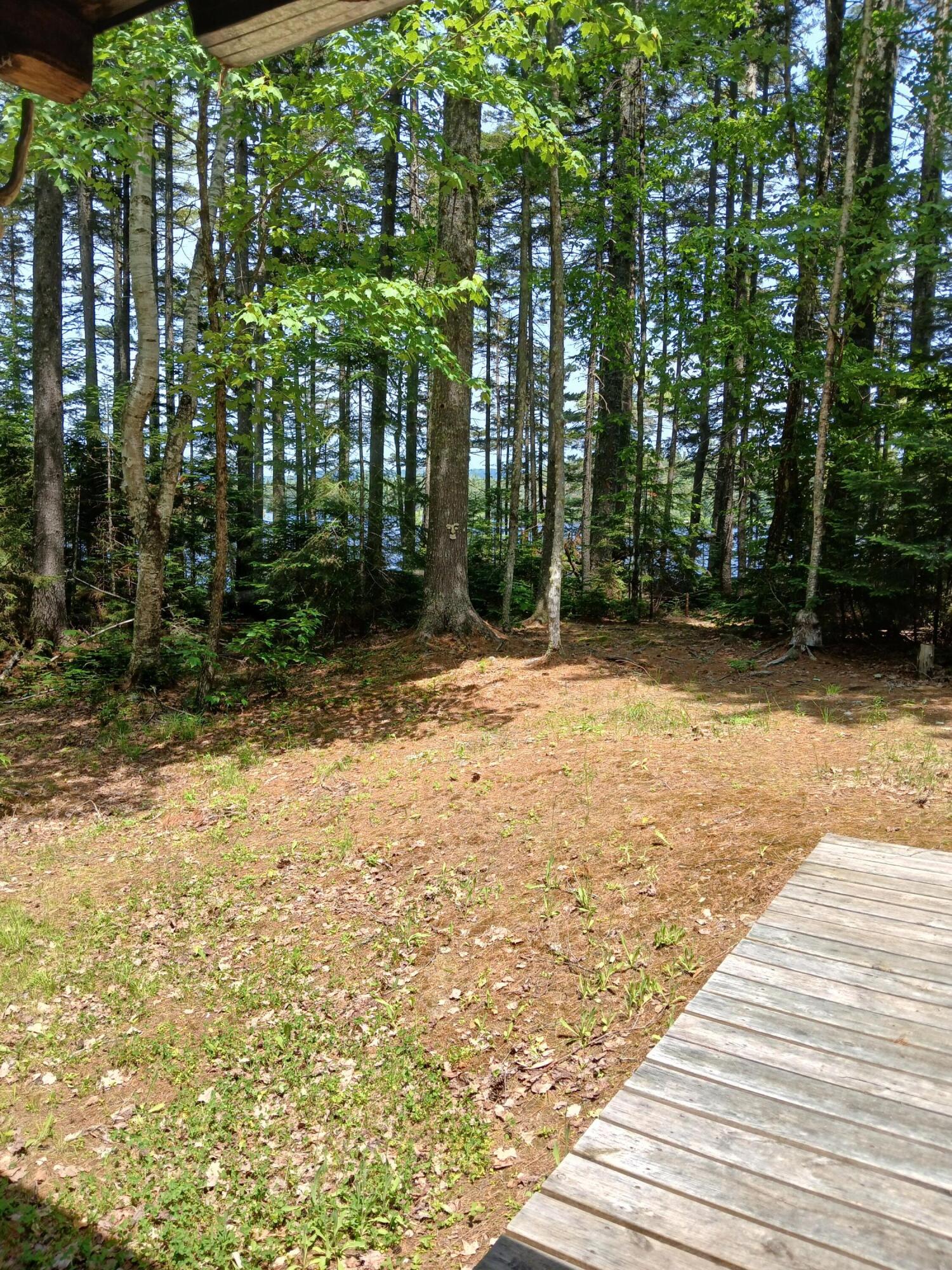 Lot # Lot#16.2 Lane Bingham, ME 04920 - Photo 33 of 36 Child camp ramp