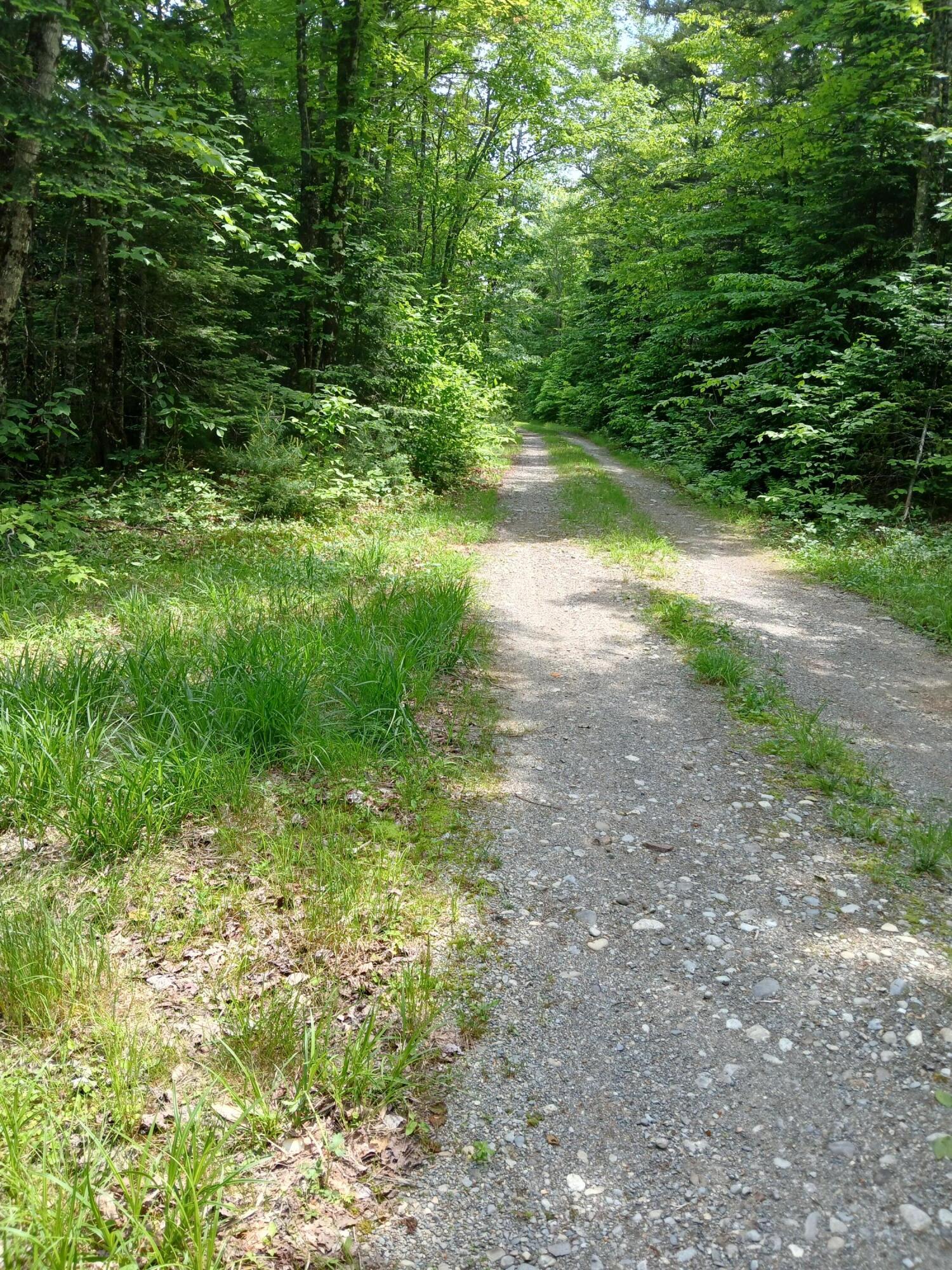 Lot # Lot#16.2 Lane Bingham, ME 04920 - Photo 35 of 36 Lane Pond road