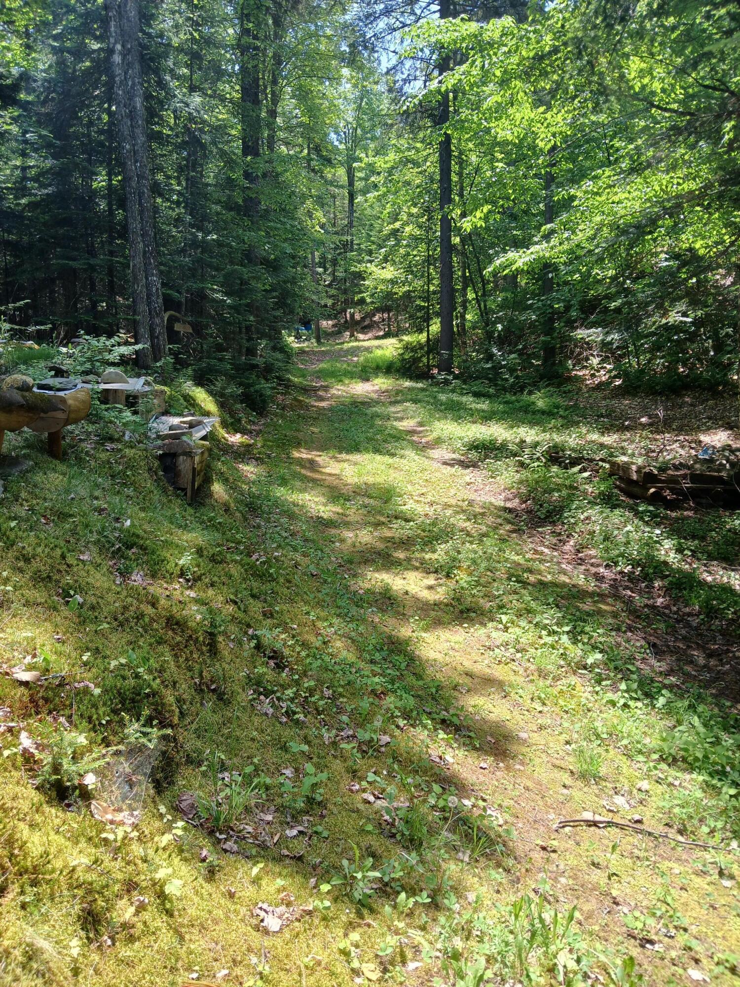 Lot # Lot#16.2 Lane Bingham, ME 04920 - Photo 7 of 36 Drive