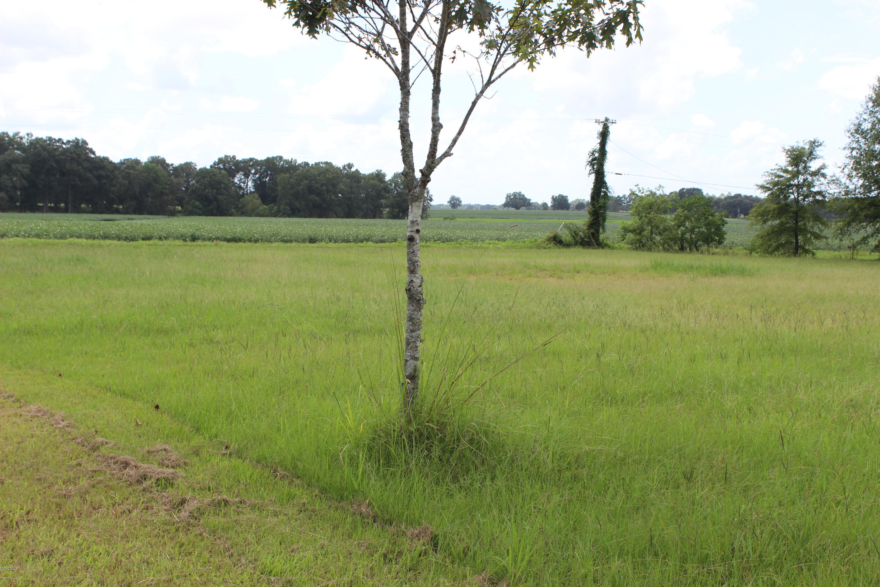 2105 V E Howell Road Lucedale, MS 39452 - Photo 32 of 54 IMG_2120