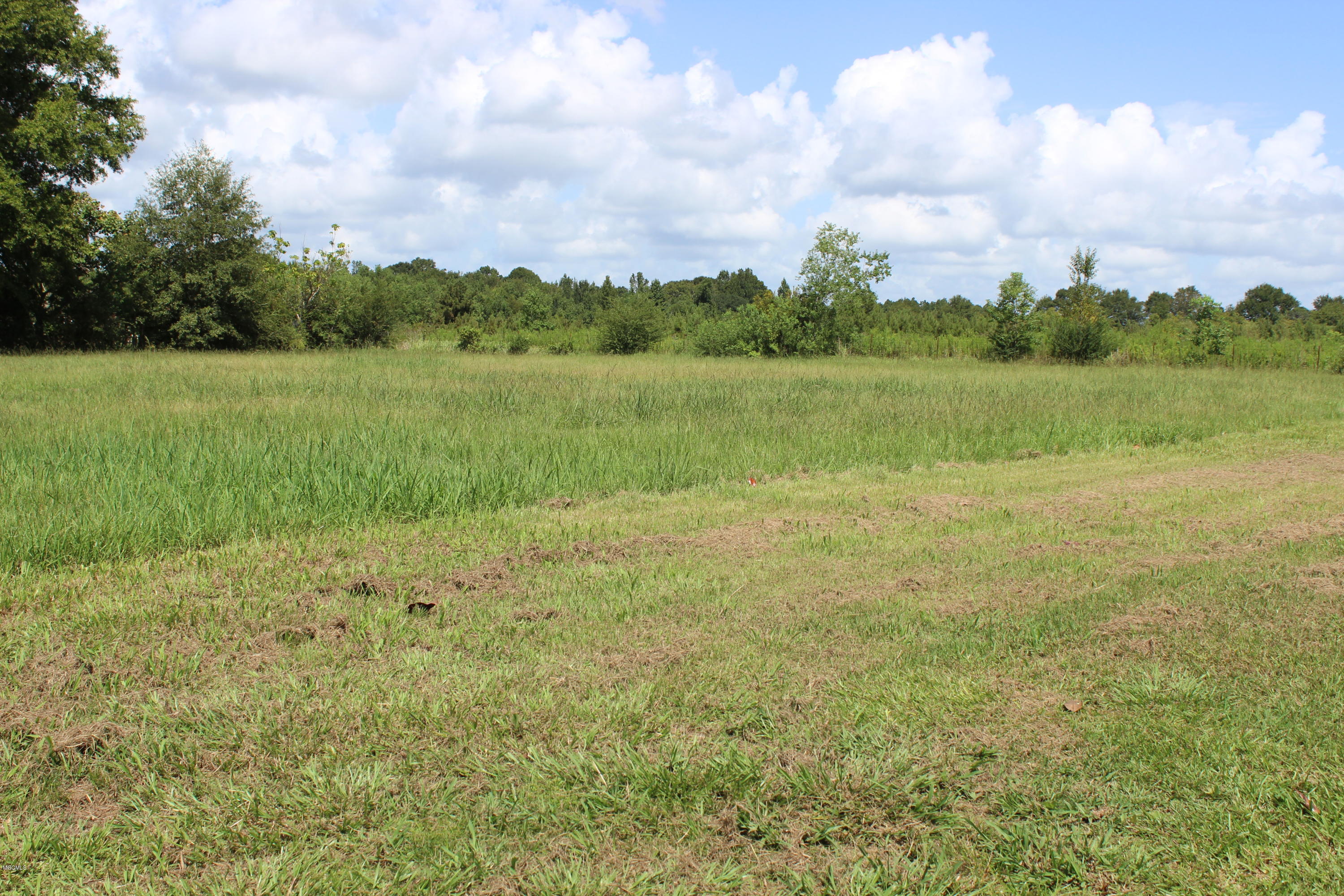 2105 V E Howell Road Lucedale, MS 39452 - Photo 4 of 54 IMG_2028