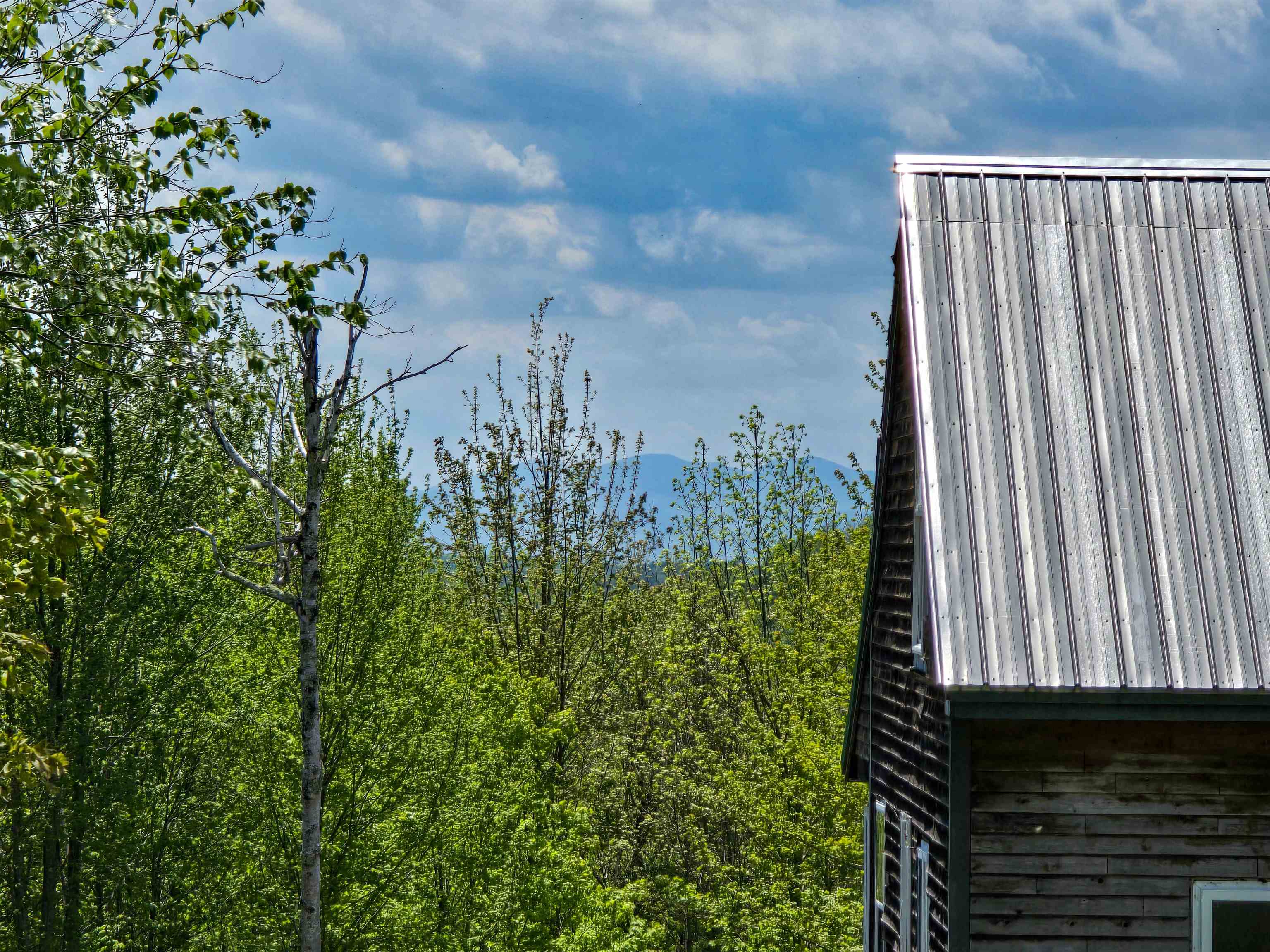 990 Daniels Road West Albany, VT 05845 - Photo 3 of 40