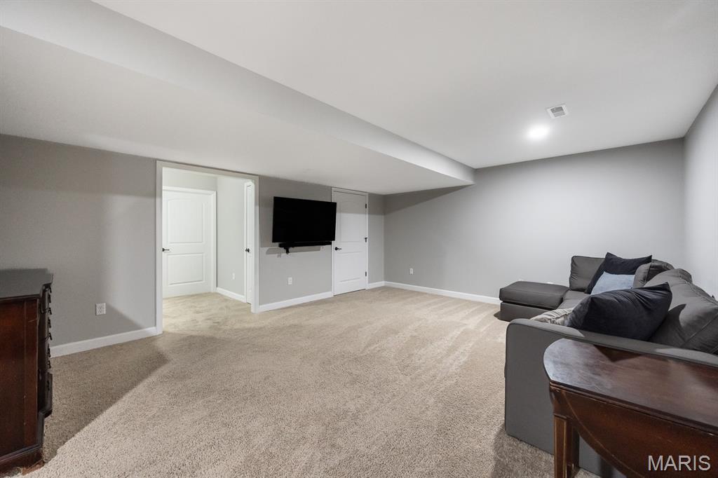 3493 Chippewa Drive Shiloh, IL 62221 - Photo 33 of 47