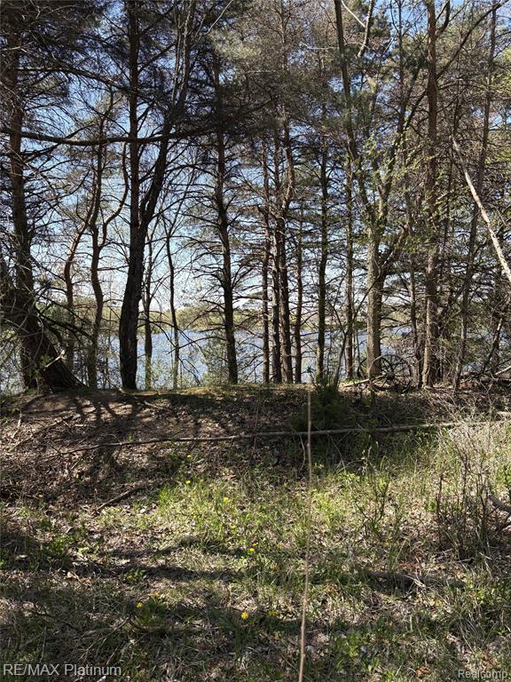 Parcel 3 Pineway Trail Howell, MI 48855 - Photo 9 of 15