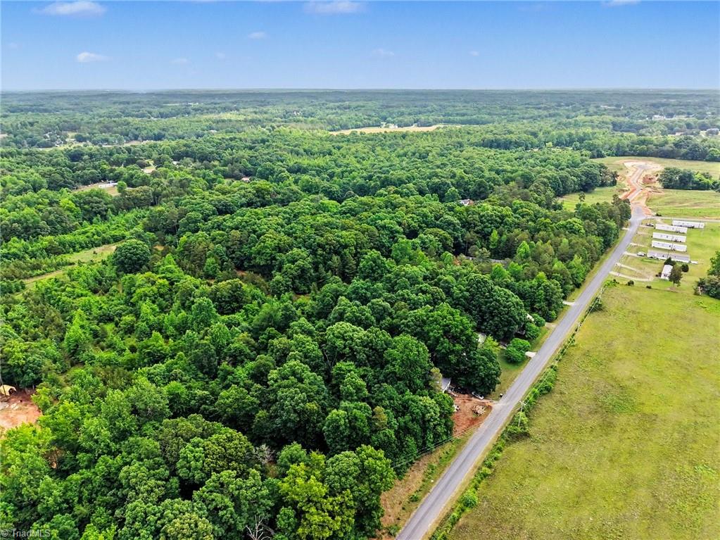 270 Della Wilson Road Lexington, NC 27295 - Photo 15 of 23