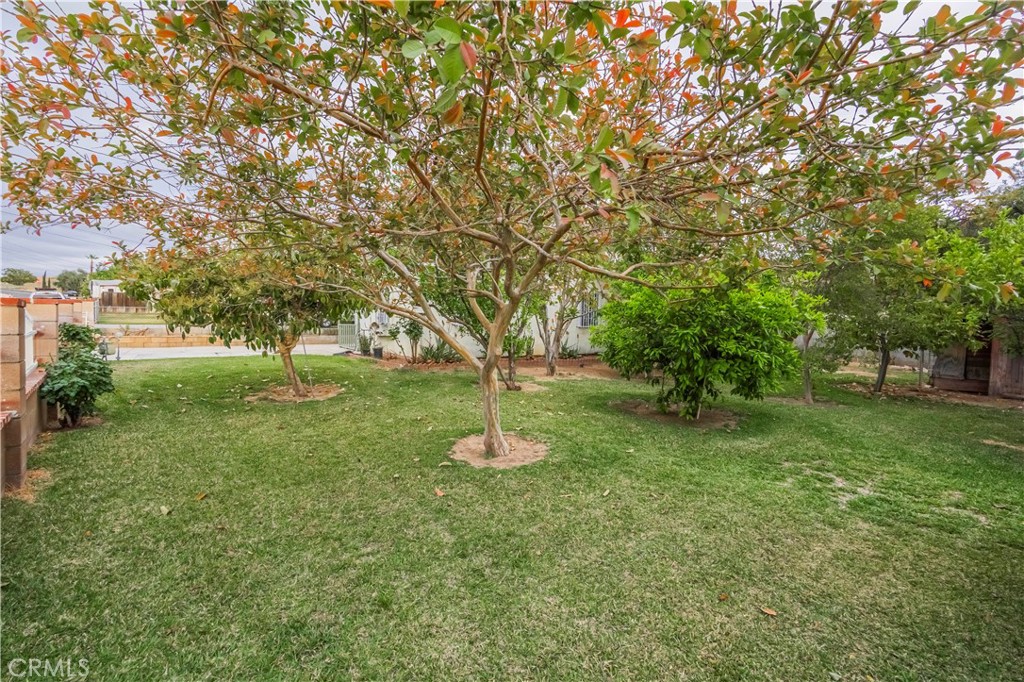 10180 Eddystone Street Riverside, CA 92503 - Photo 9 of 34 a huge green field with lots of trees