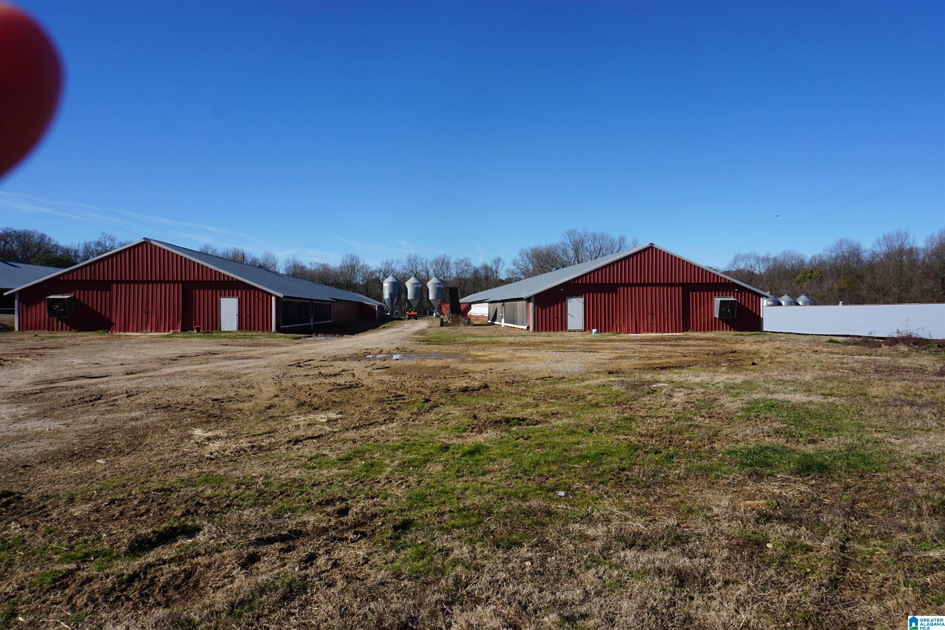 10171 County Road 87 Roanoke, AL 36274 - Photo 35 of 42
