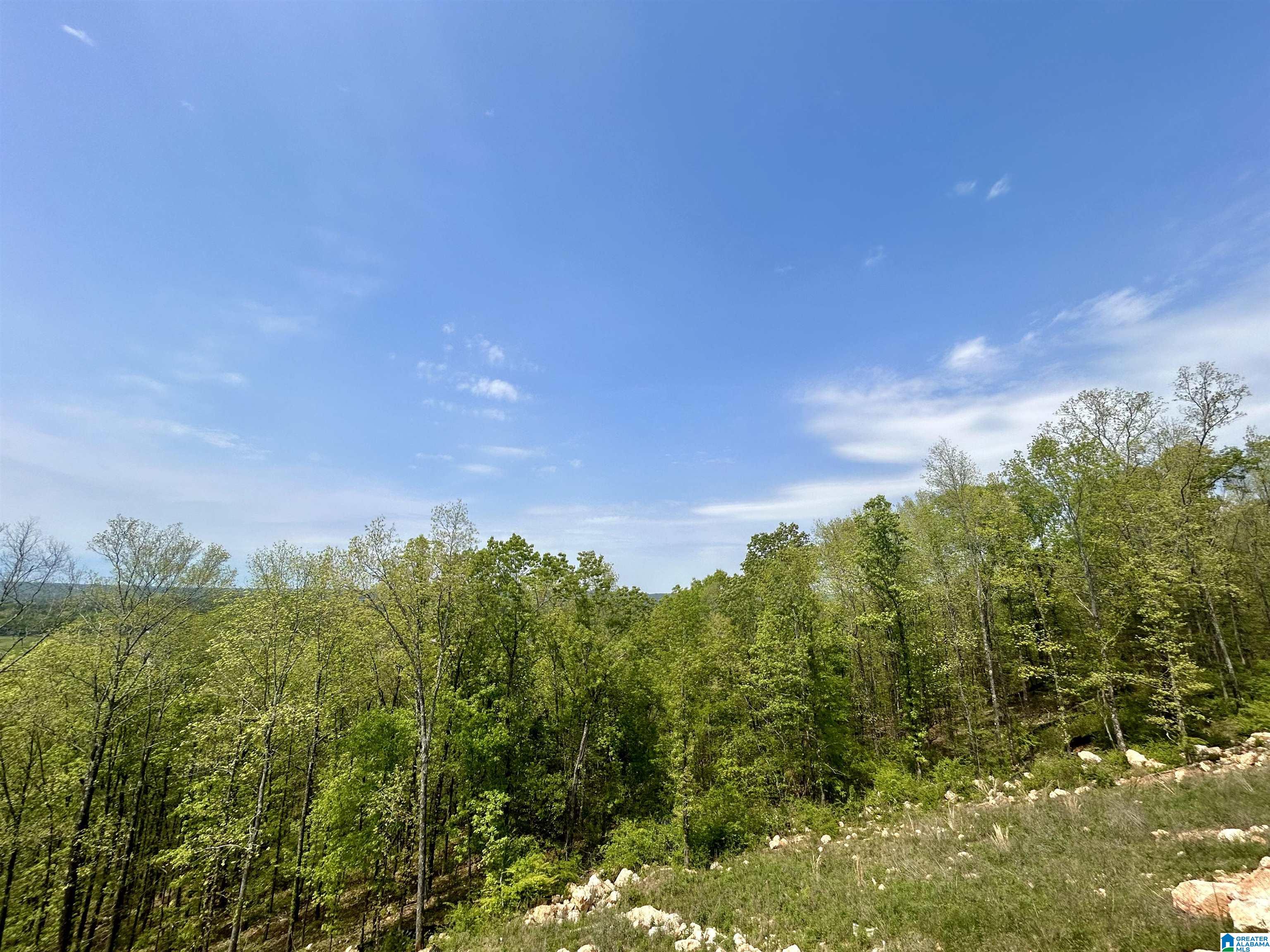 1141 Camellia Ridge Drive Pelham, AL 35124 - Photo 42 of 43
